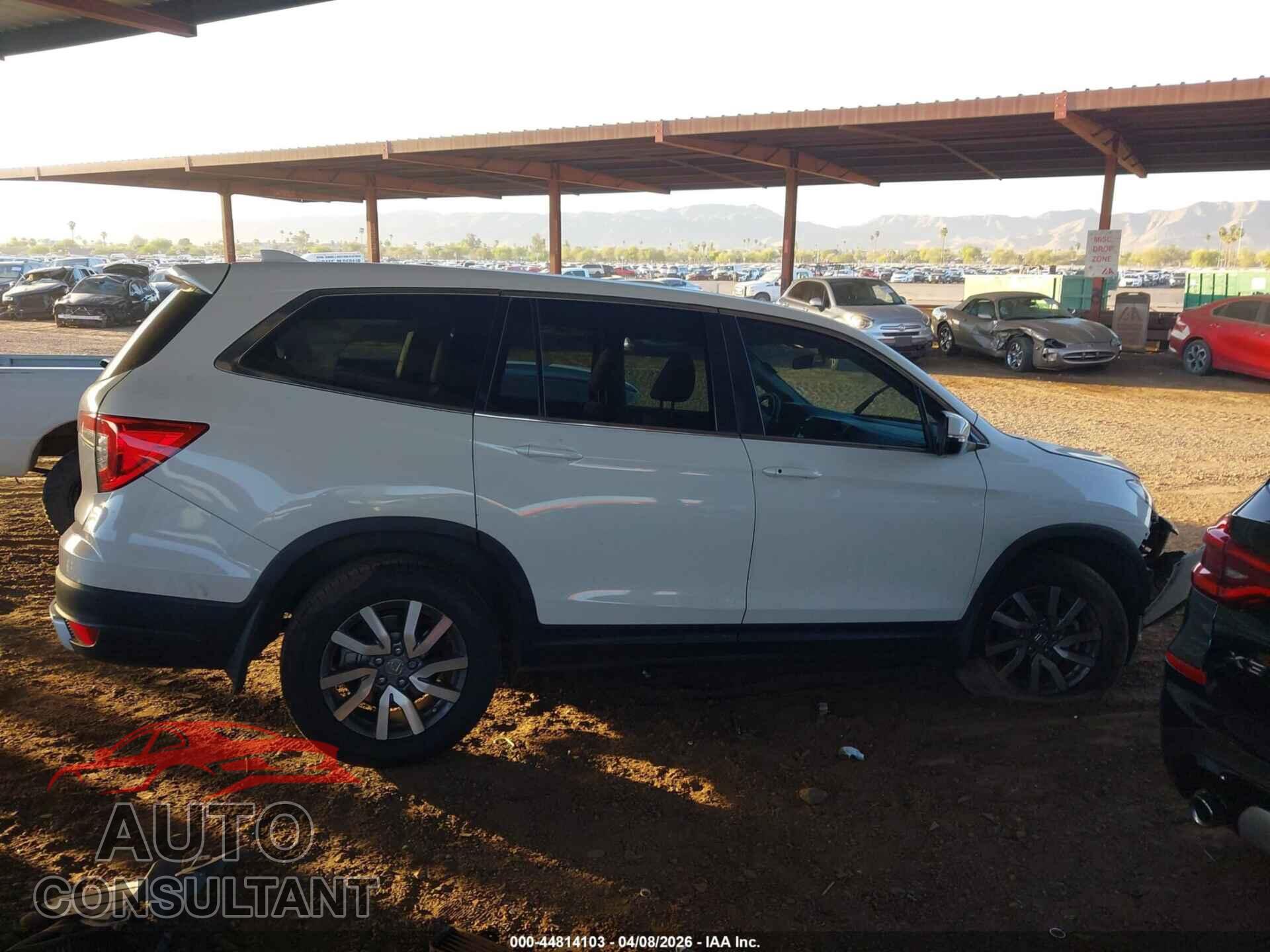 HONDA PILOT 2019 - 5FNYF5H31KB025541