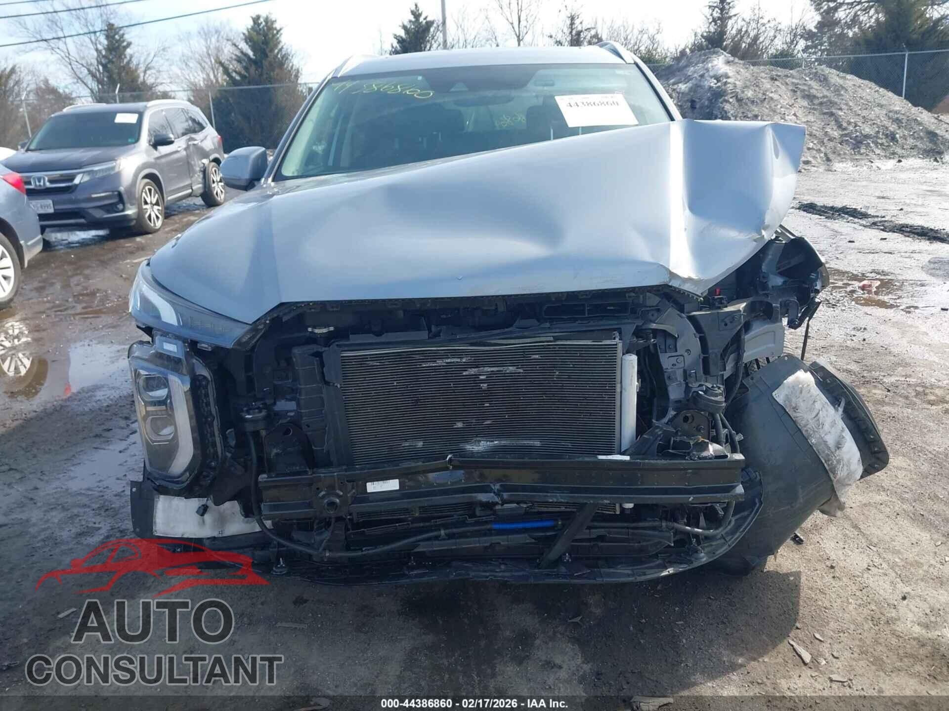 HYUNDAI PALISADE 2020 - KM8R4DHEXLU164237