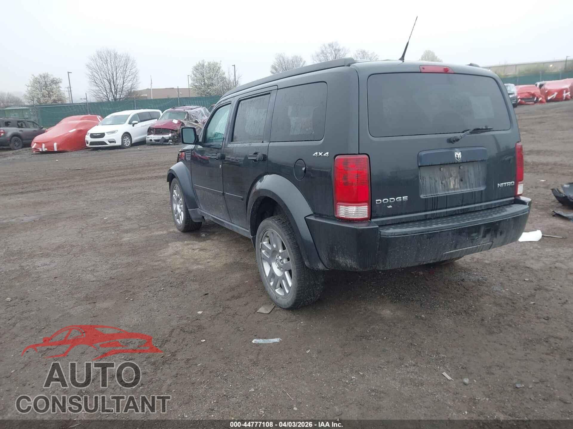 DODGE NITRO 2011 - 1D4PU4GK1BW517361