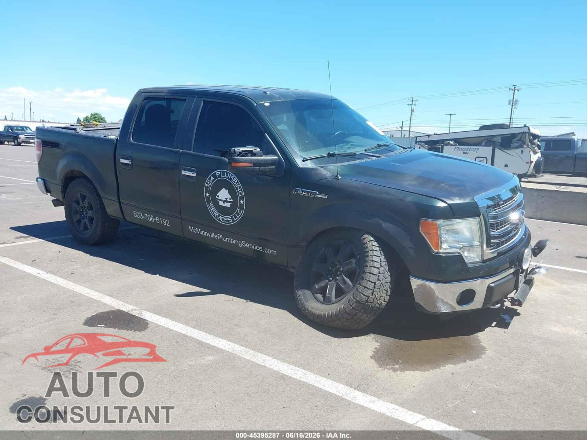 FORD F-150 2013 - 1FTFW1EF8DFD59305
