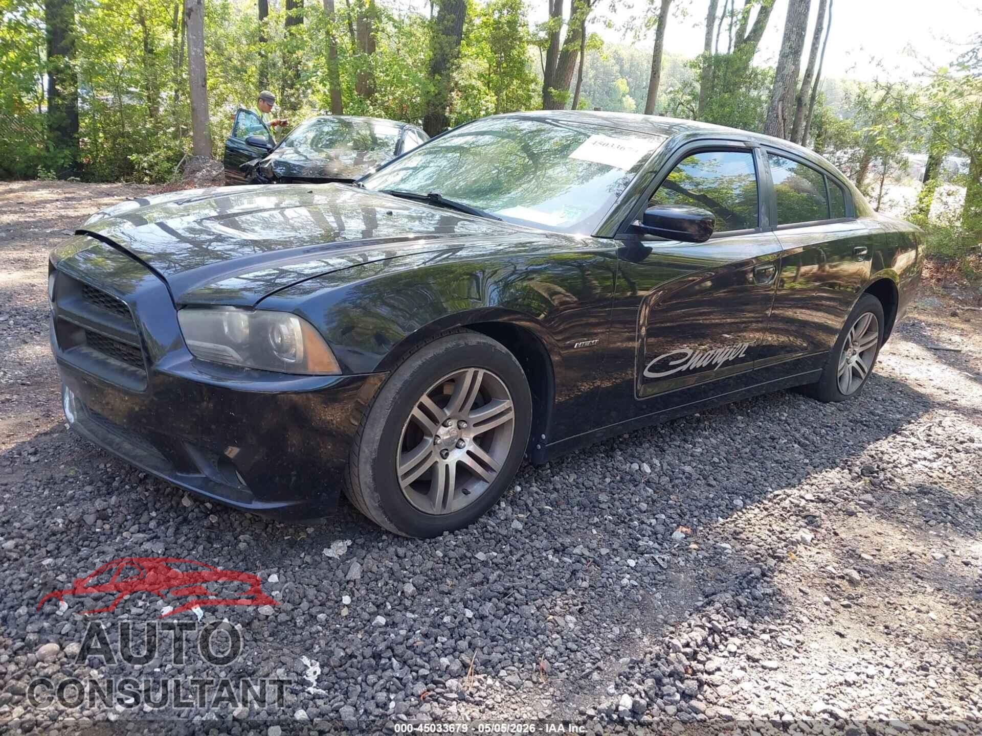 DODGE CHARGER 2013 - 2C3CDXCT2DH720647