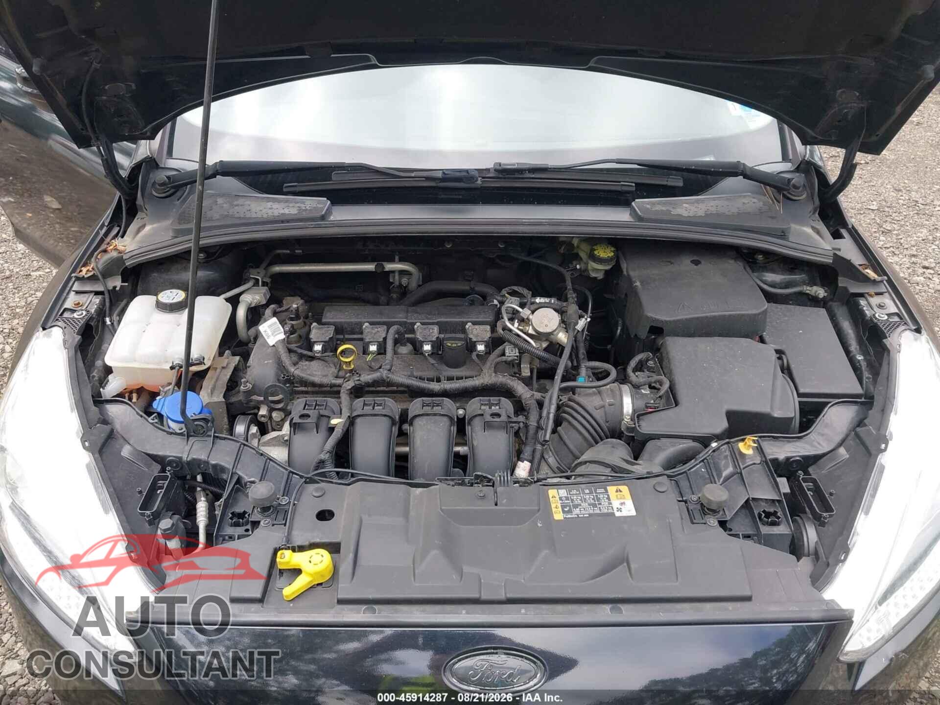 FORD FOCUS 2016 - 1FADP3K22GL397500