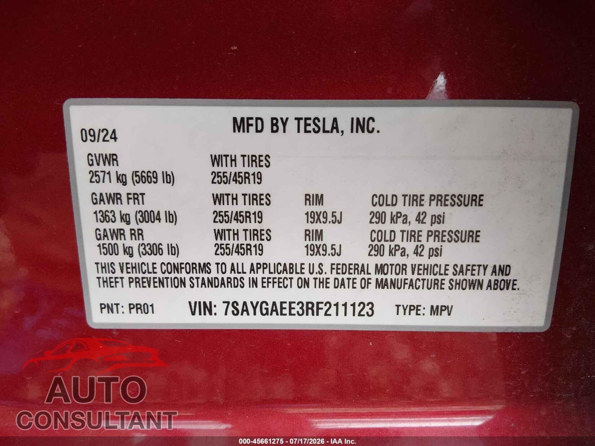 TESLA MODEL Y 2024 - 7SAYGAEE3RF211123