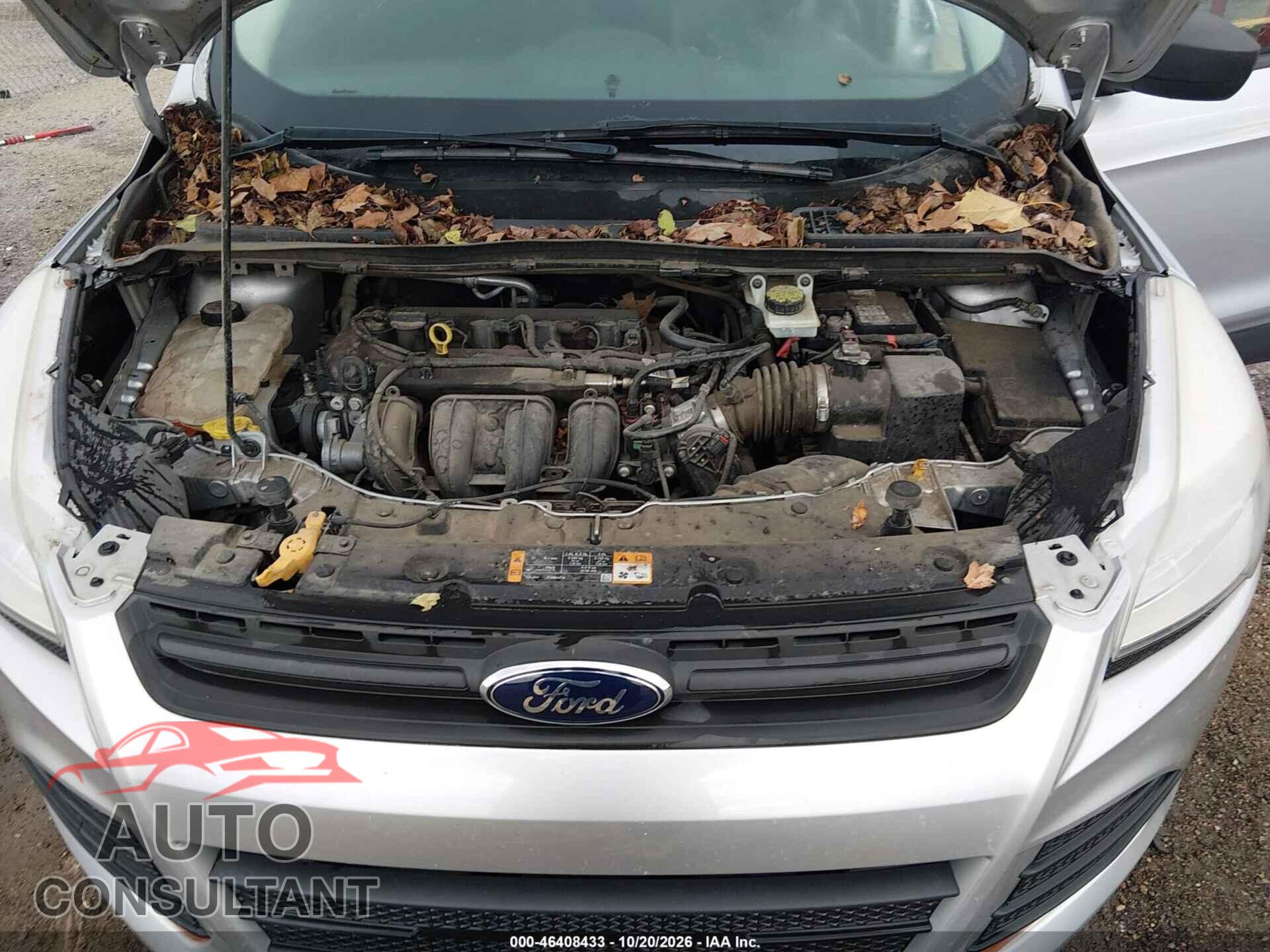 FORD ESCAPE 2013 - 1FMCU0F75DUB55014