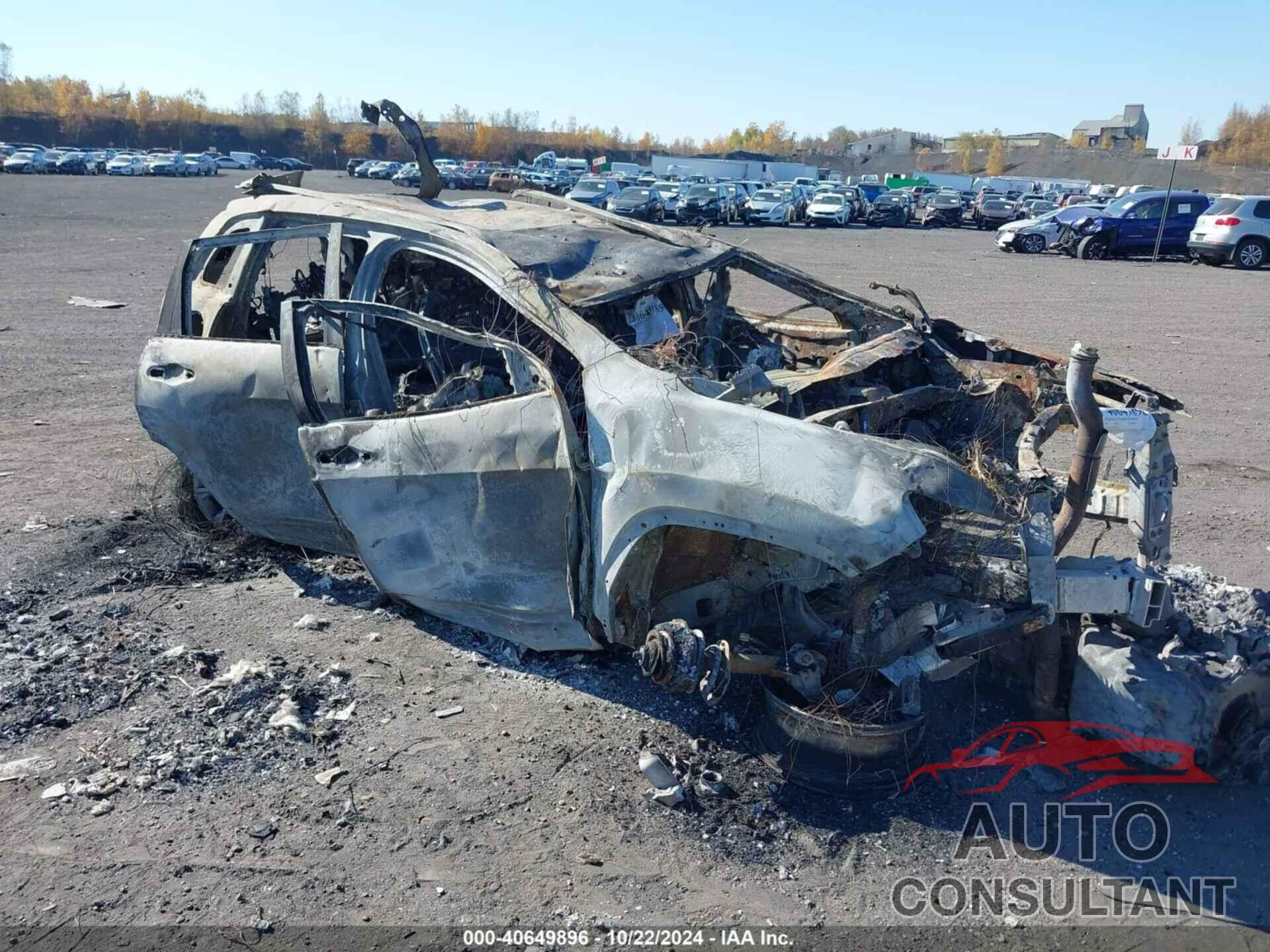 JEEP CHEROKEE 2020 - 1C4PJMLB6LD509023