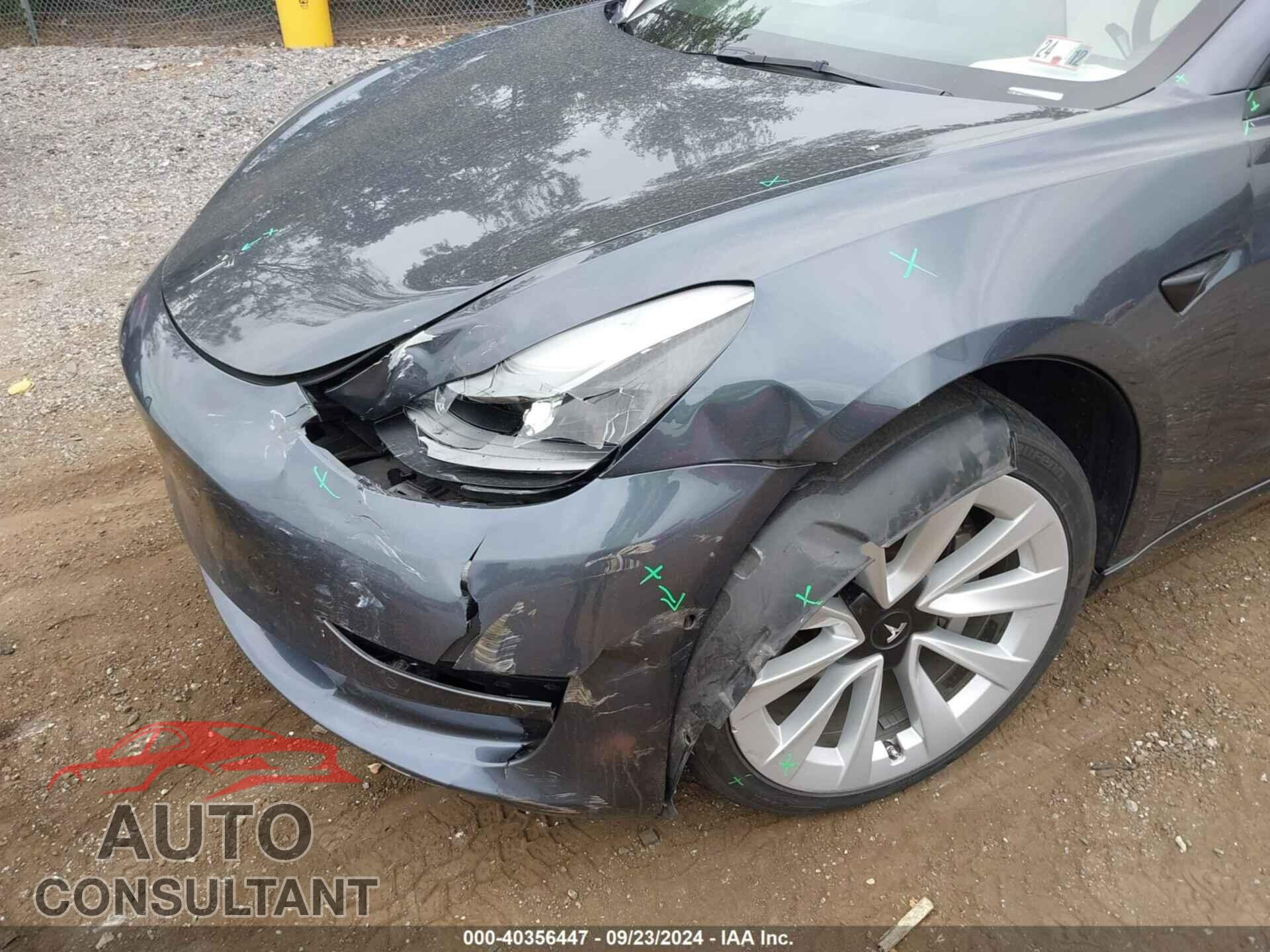 TESLA MODEL 3 2021 - 5YJ3E1EA5MF097208