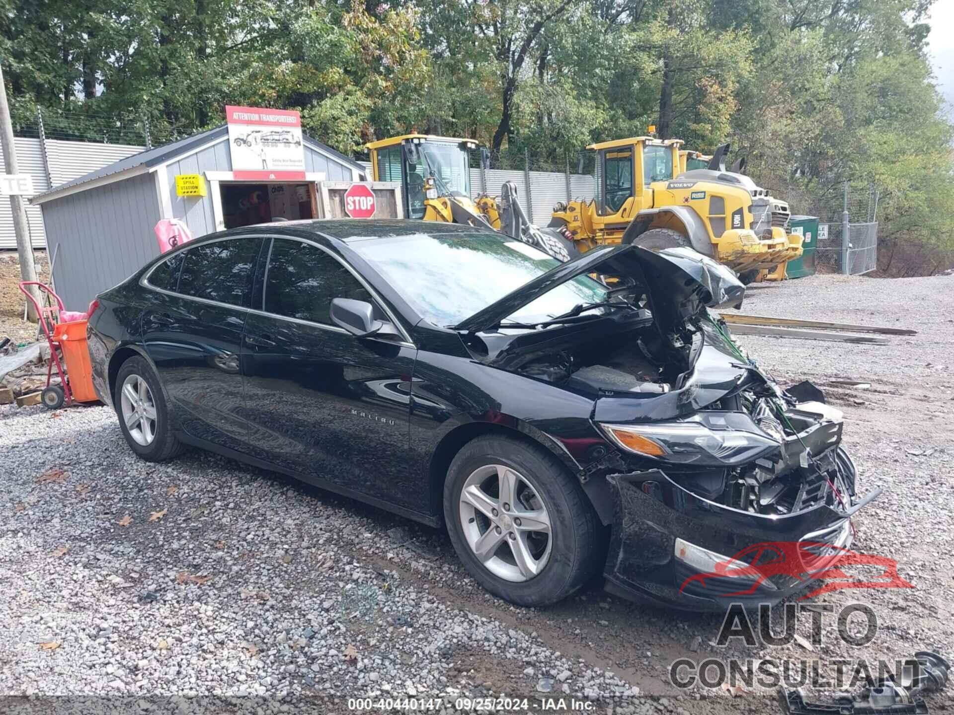 CHEVROLET MALIBU 2019 - 1G1ZB5STXKF218512