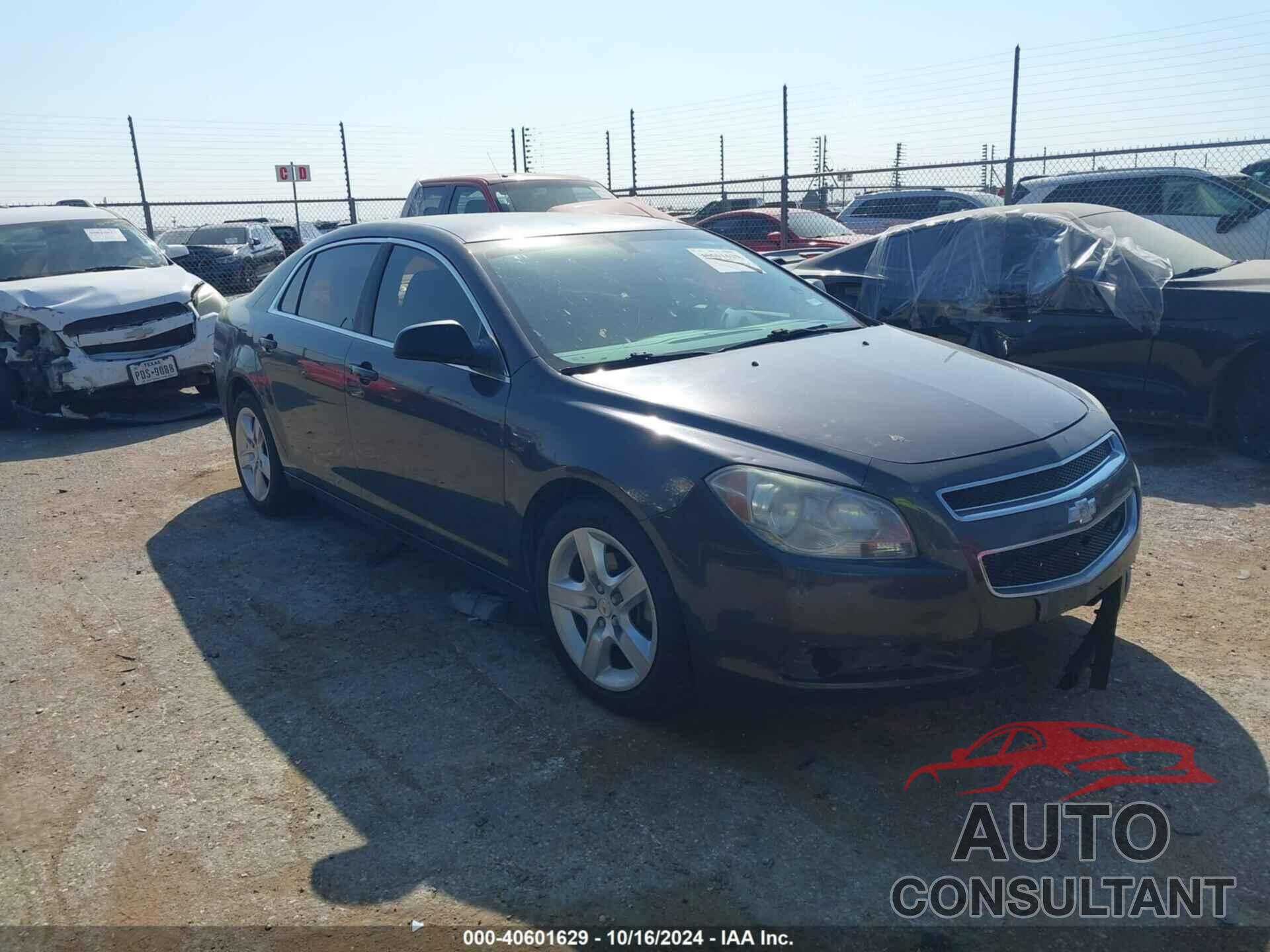 CHEVROLET MALIBU 2011 - 1G1ZA5EUXBF101262