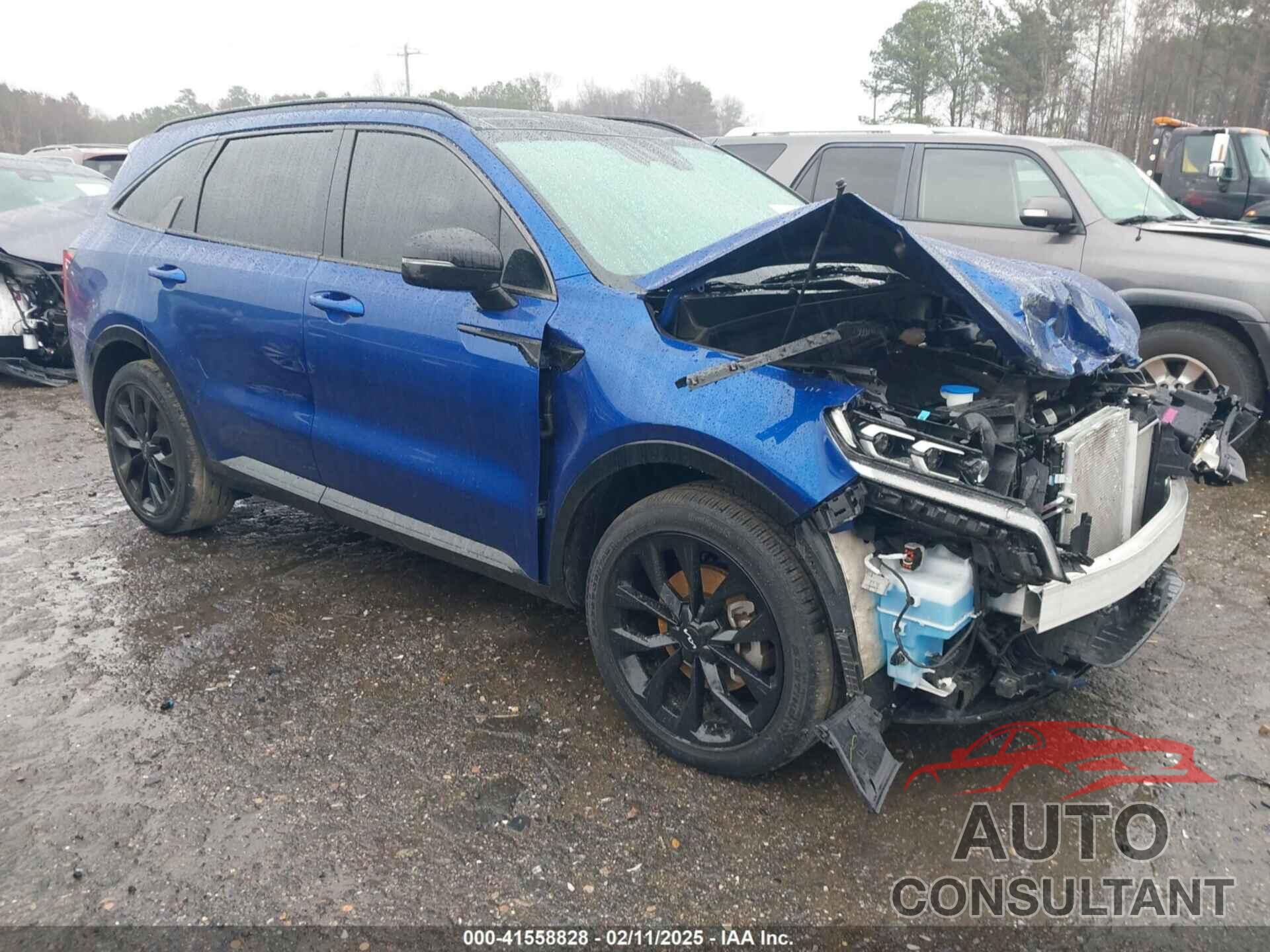 KIA SORENTO 2023 - 5XYRK4LF0PG228710