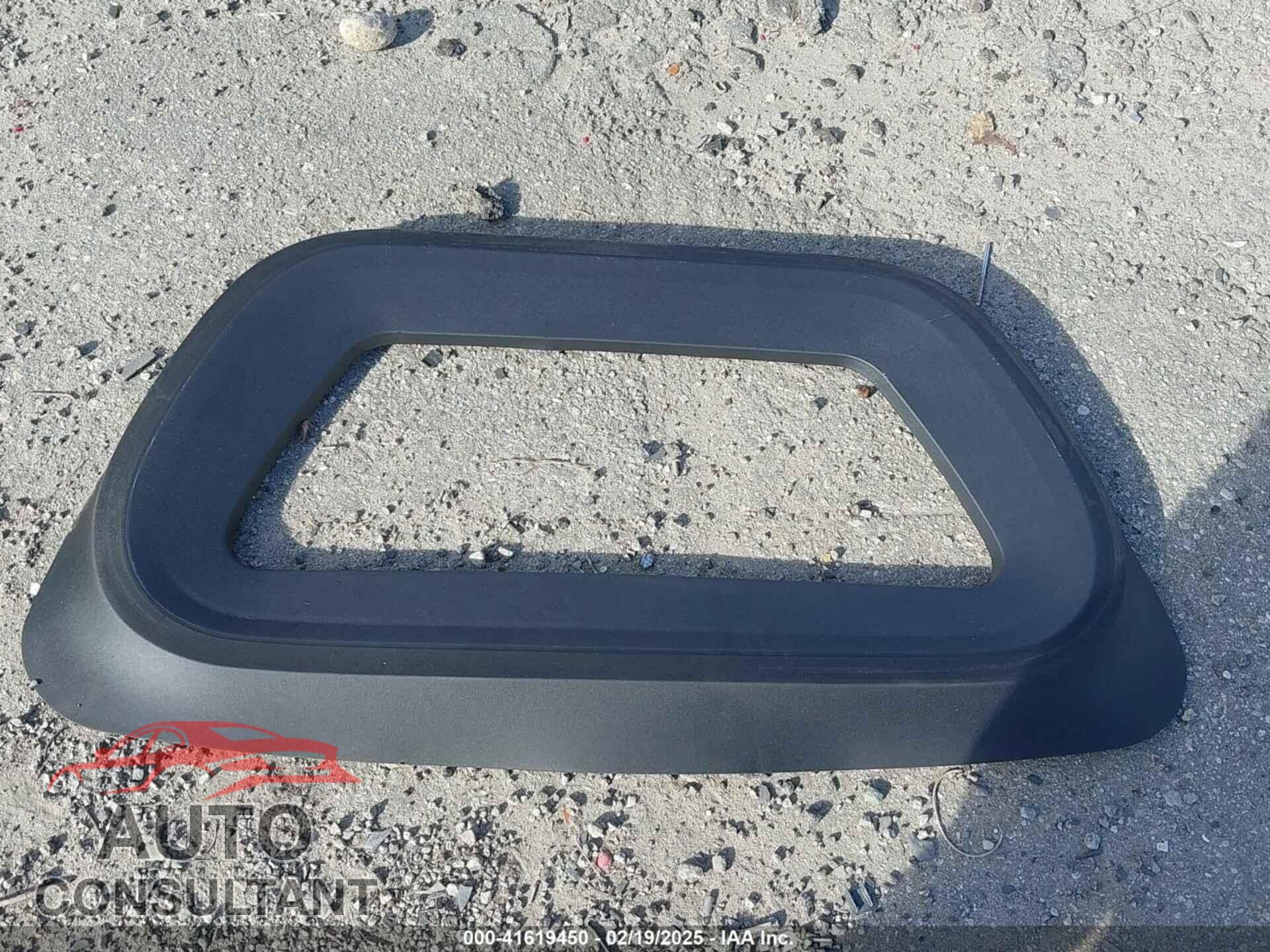 TESLA MODEL Y 2024 - 7SAYGDEF3RF032980