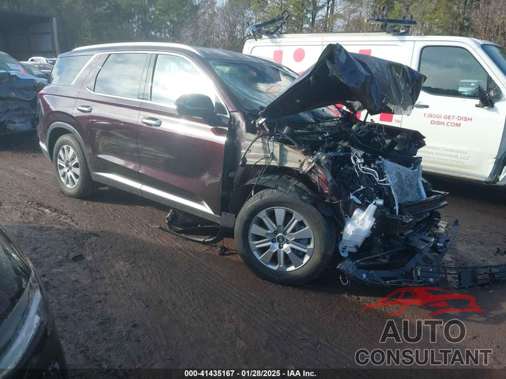 HYUNDAI PALISADE 2025 - KM8R2DGE8SU841467