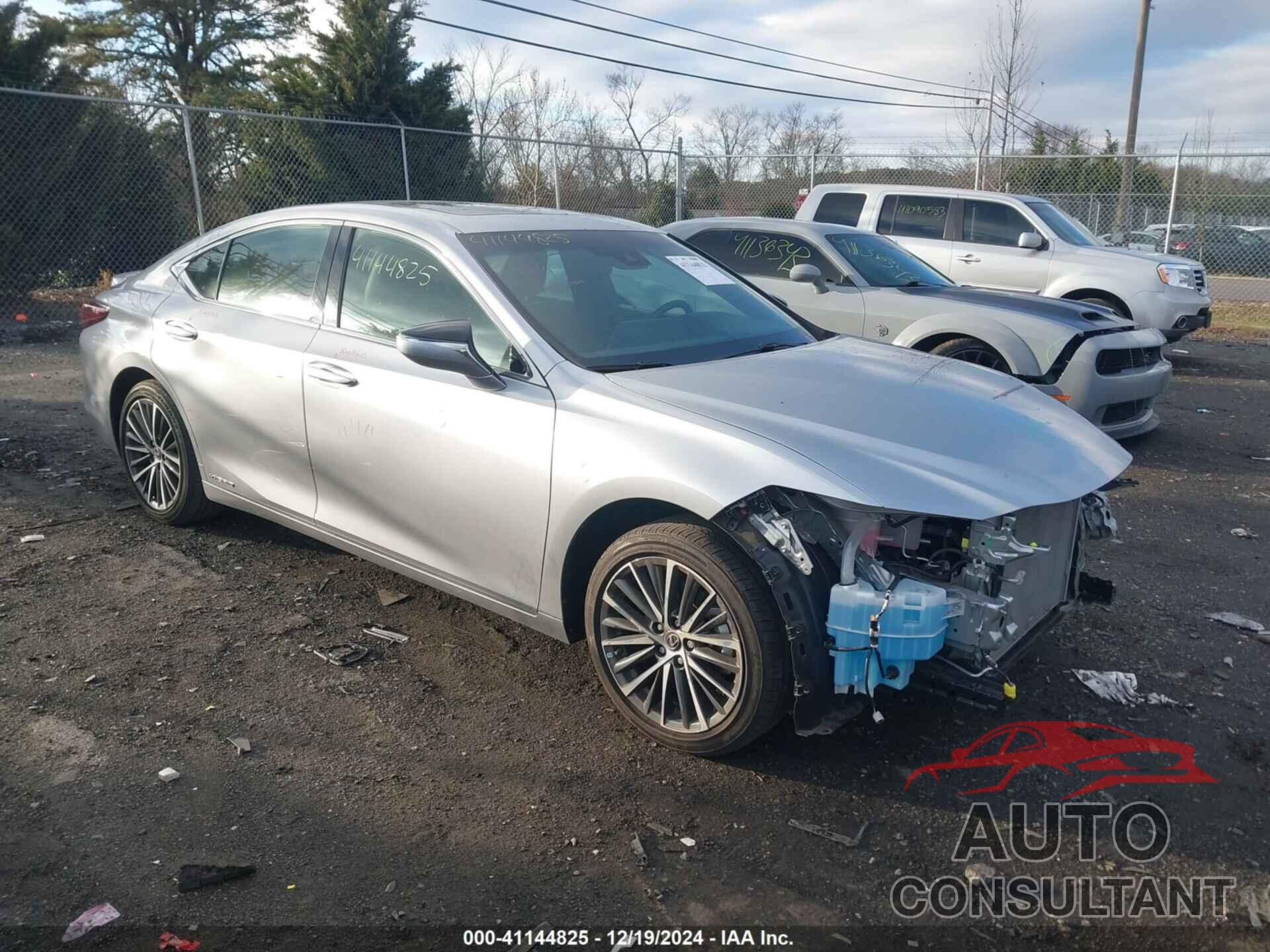 LEXUS ES 300H 2022 - 58ADA1C14NU015713