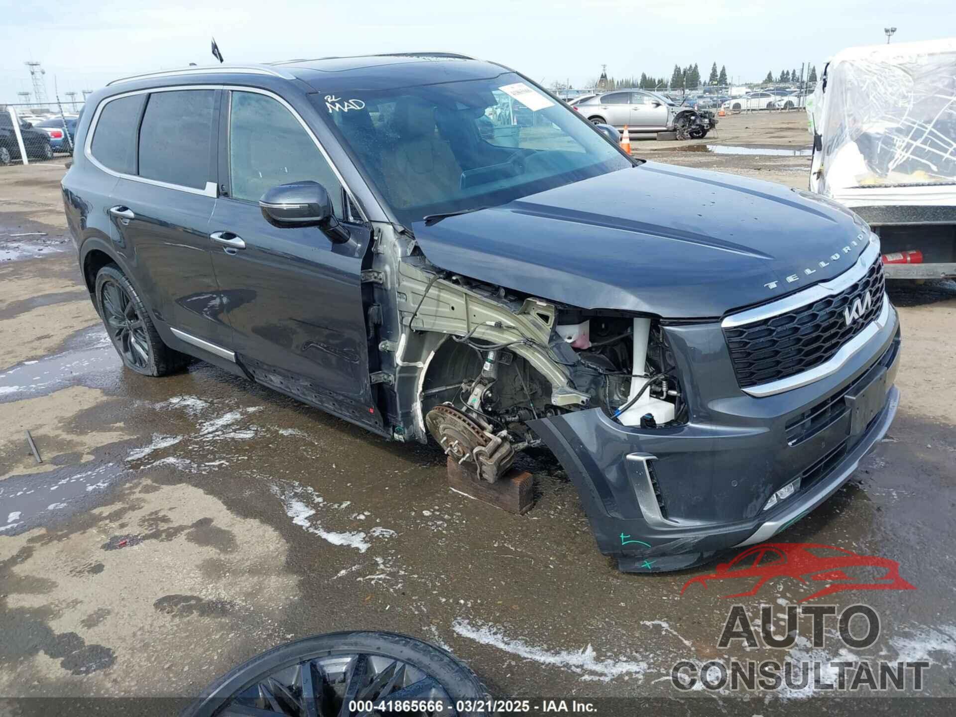 KIA TELLURIDE 2022 - 5XYP54HC2NG253361