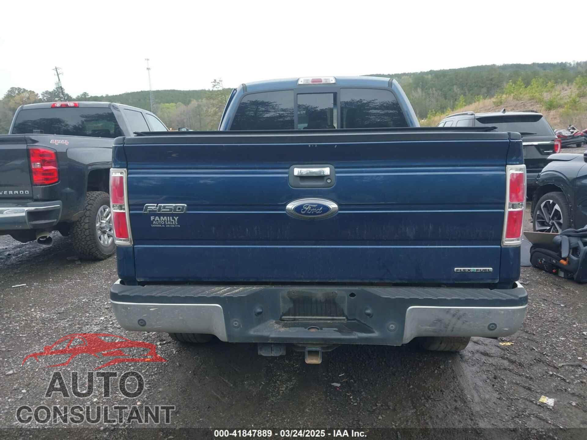 FORD F-150 2013 - 1FTFX1EF5DFD80299