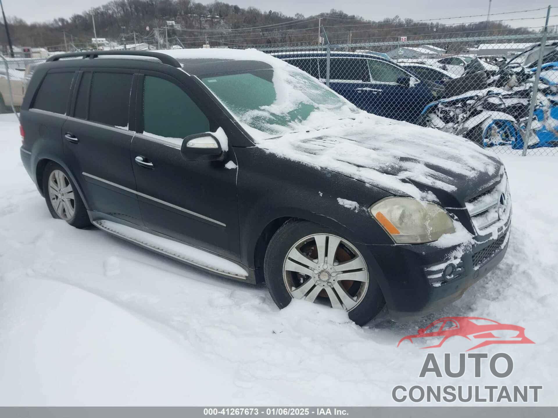 MERCEDES-BENZ GL 450 2009 - 4JGBF71E89A515809