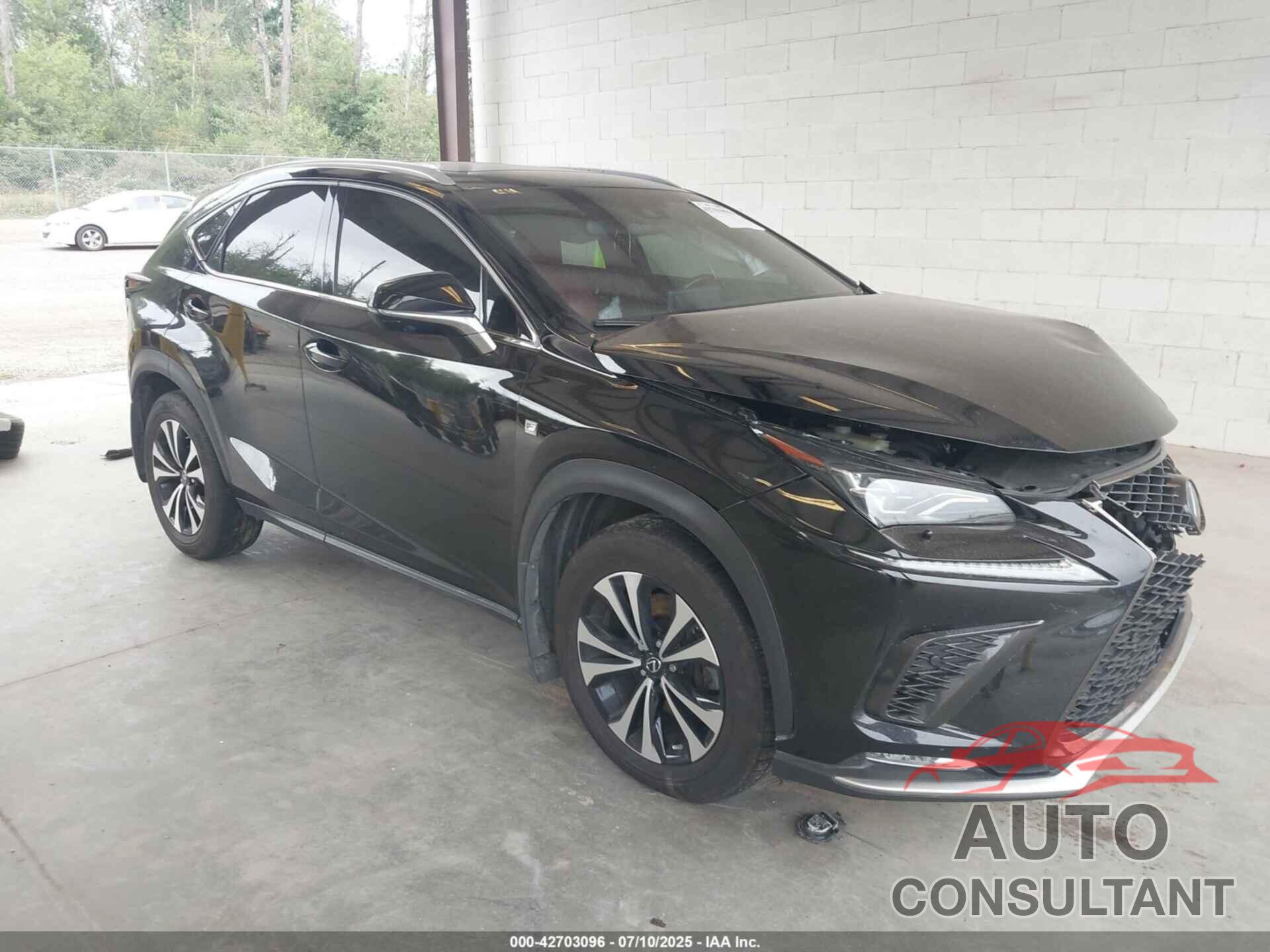 LEXUS NX 300 2018 - JTJBARBZ1J2163748