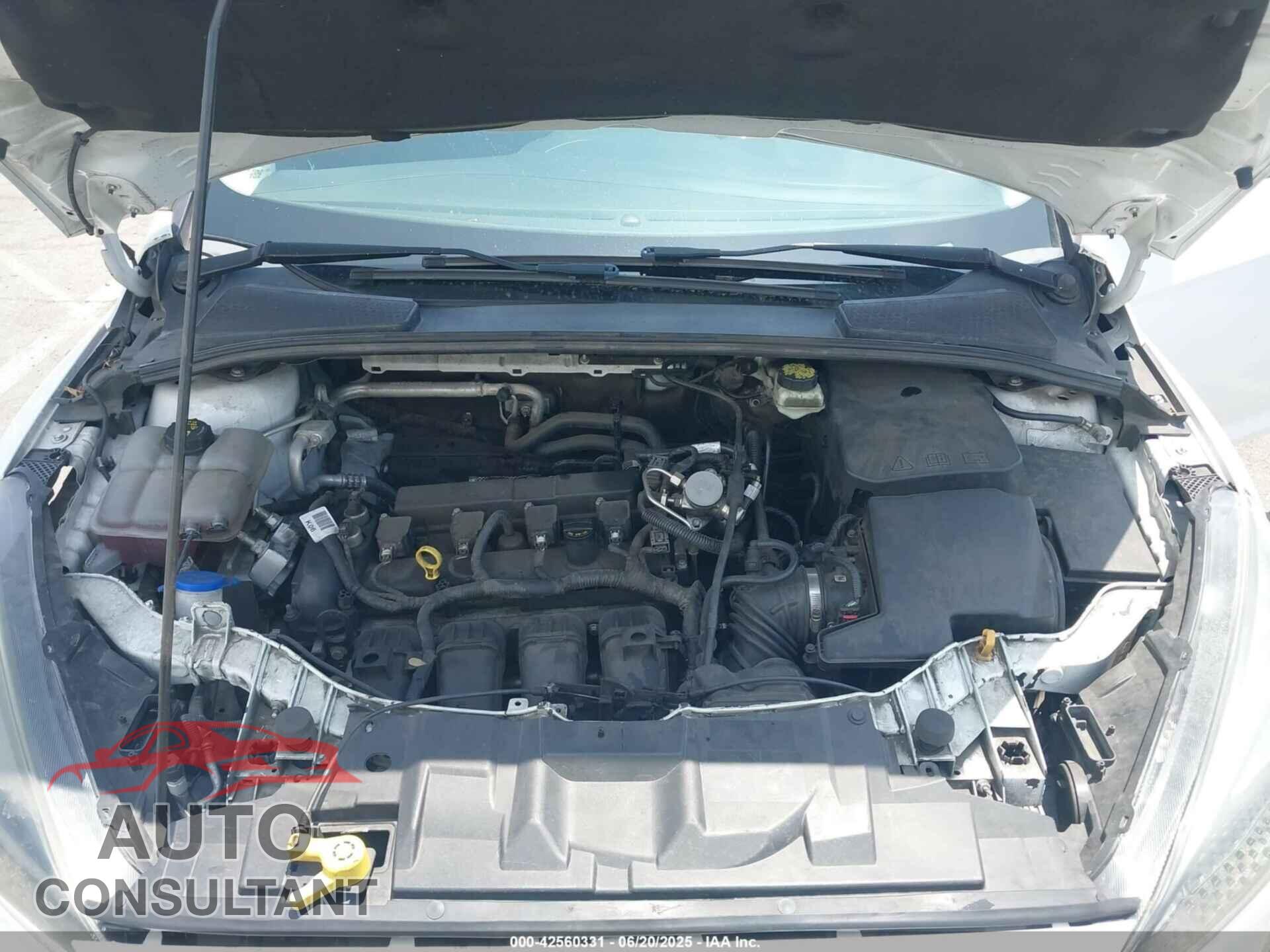FORD FOCUS 2017 - 1FADP3F21HL217838