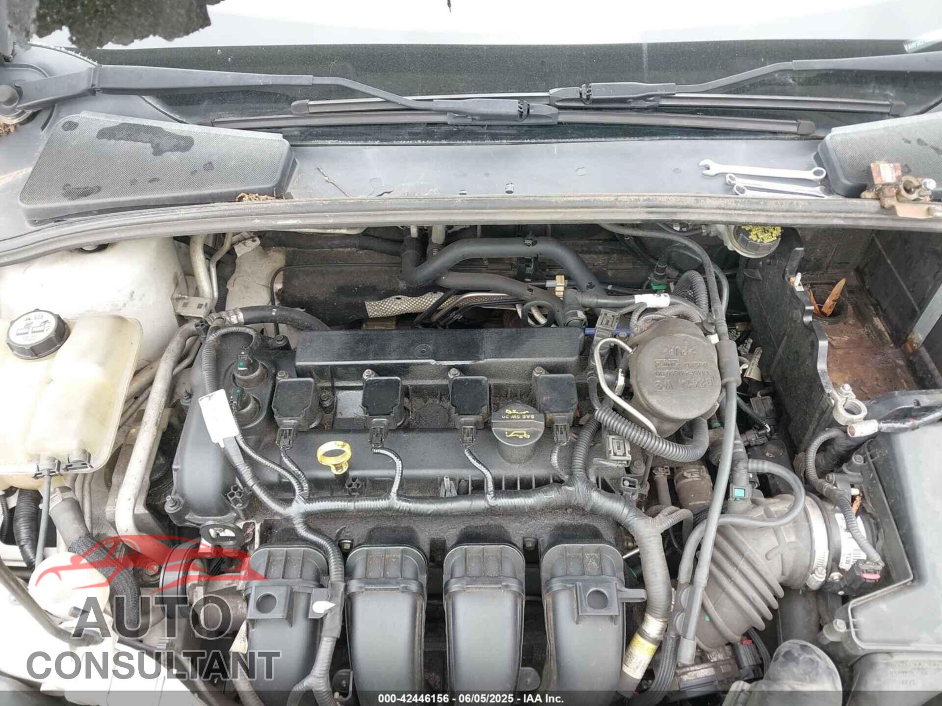 FORD FOCUS 2012 - 1FAHP3E21CL287433