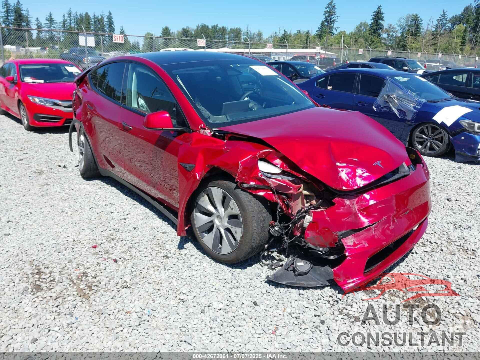 TESLA MODEL Y 2024 - 7SAYGDED5RF091074