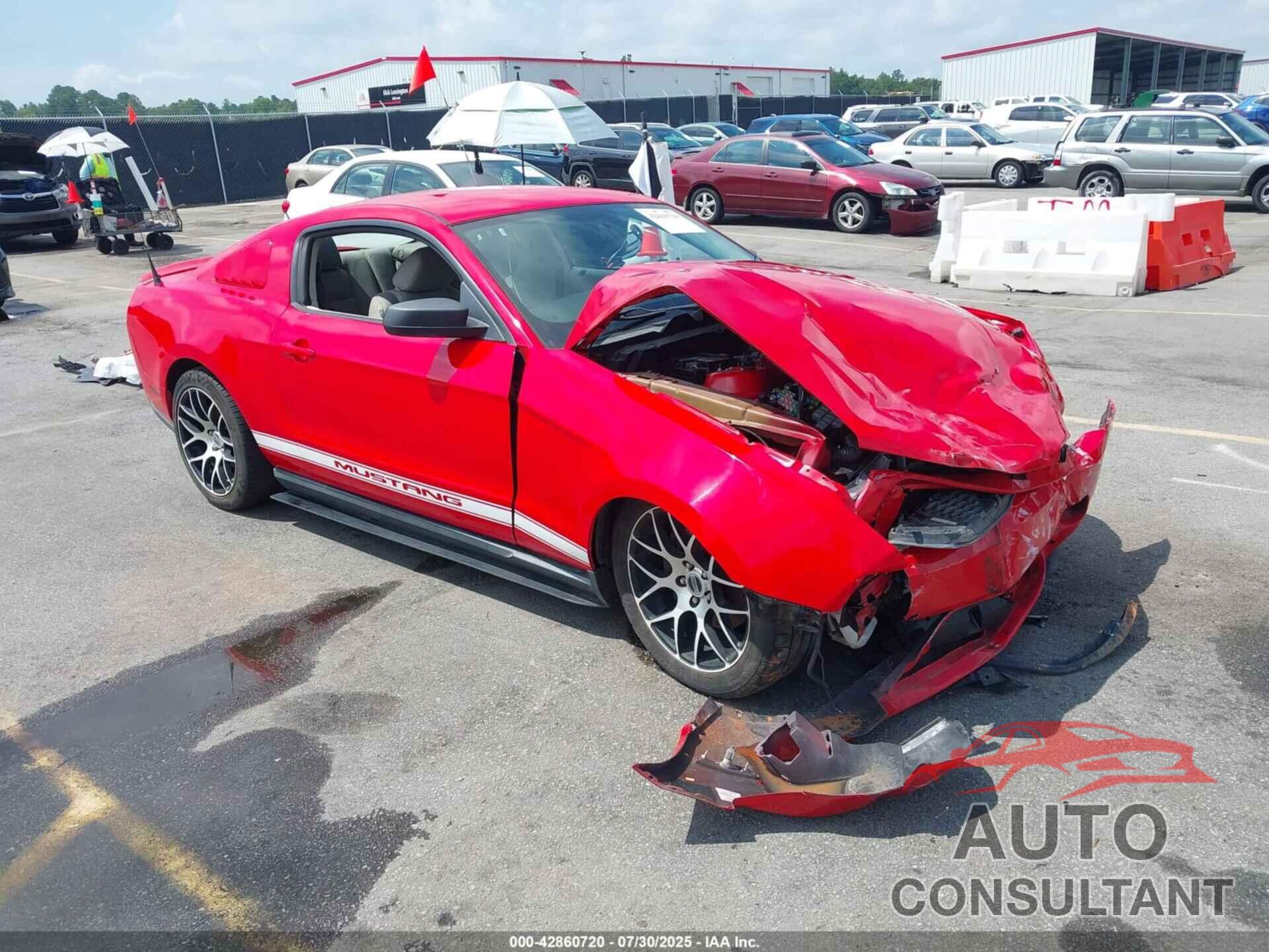FORD MUSTANG 2011 - 1ZVBP8AM8B5124993