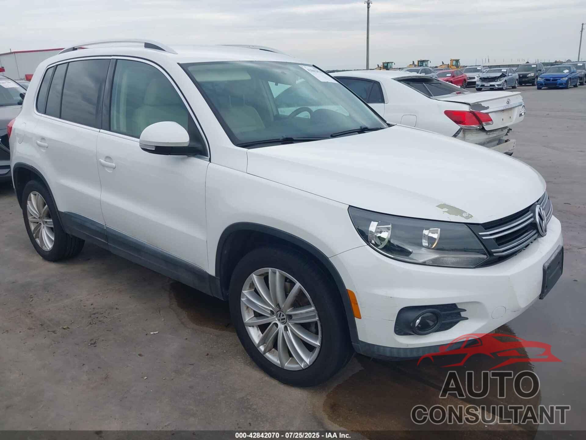 VOLKSWAGEN TIGUAN 2013 - WVGAV7AX5DW551887