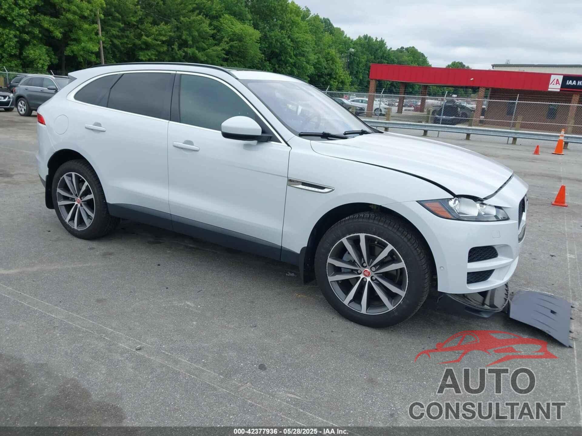 JAGUAR F-PACE 2019 - SADCK2GX3KA602396