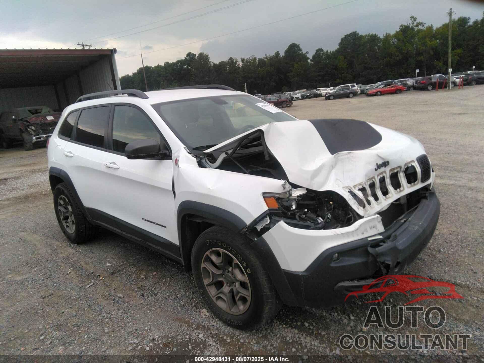 JEEP CHEROKEE 2020 - 1C4PJMBX0LD587293