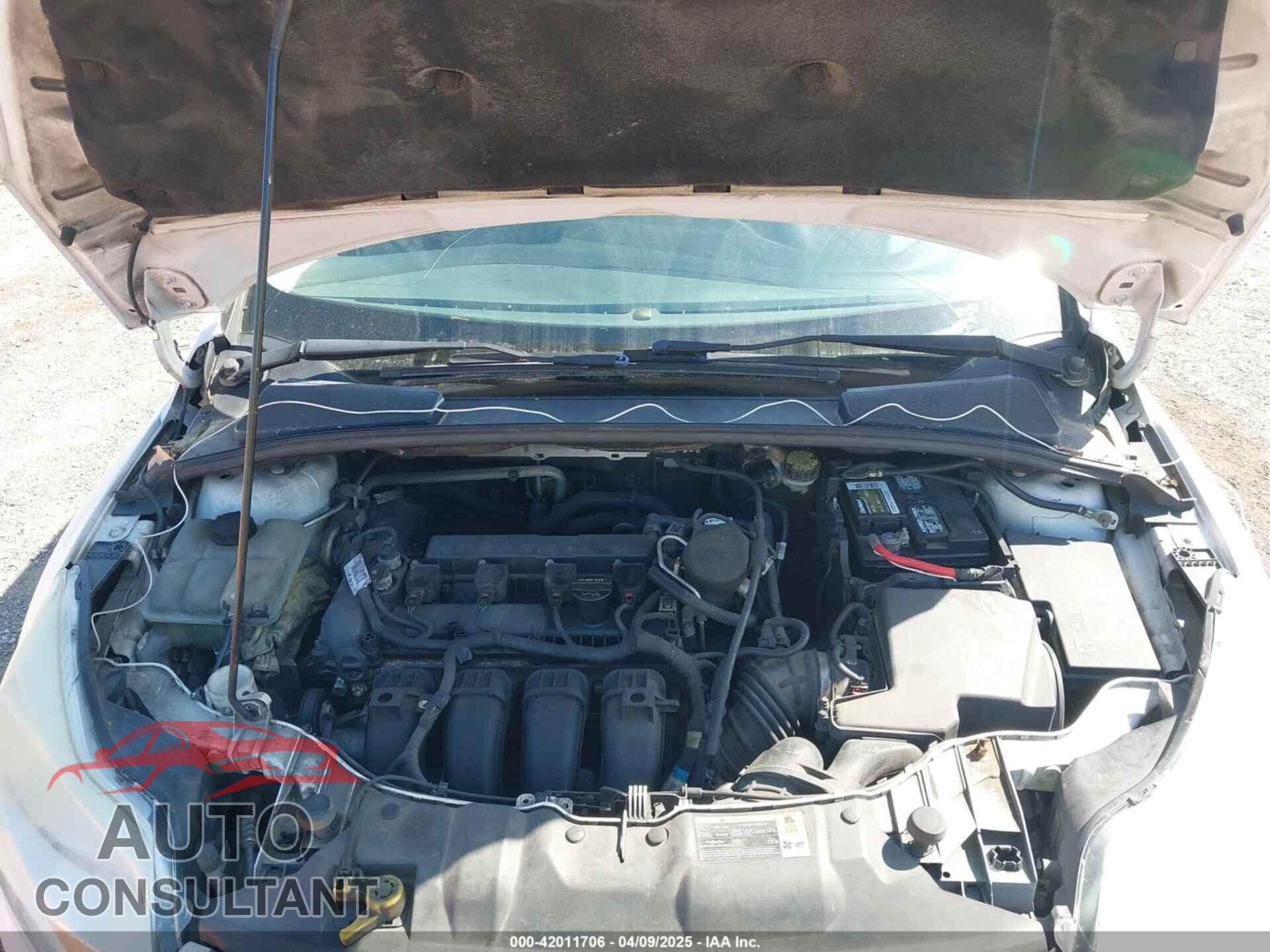 FORD FOCUS 2012 - 1FAHP3M21CL413436