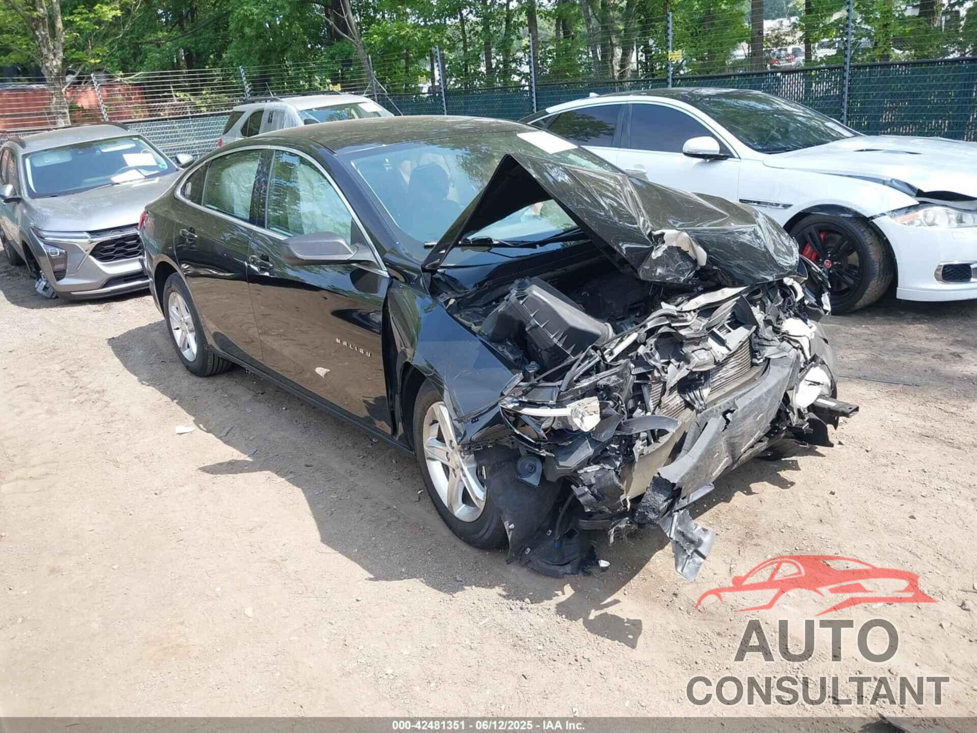 CHEVROLET MALIBU 2021 - 1G1ZB5ST3MF001595
