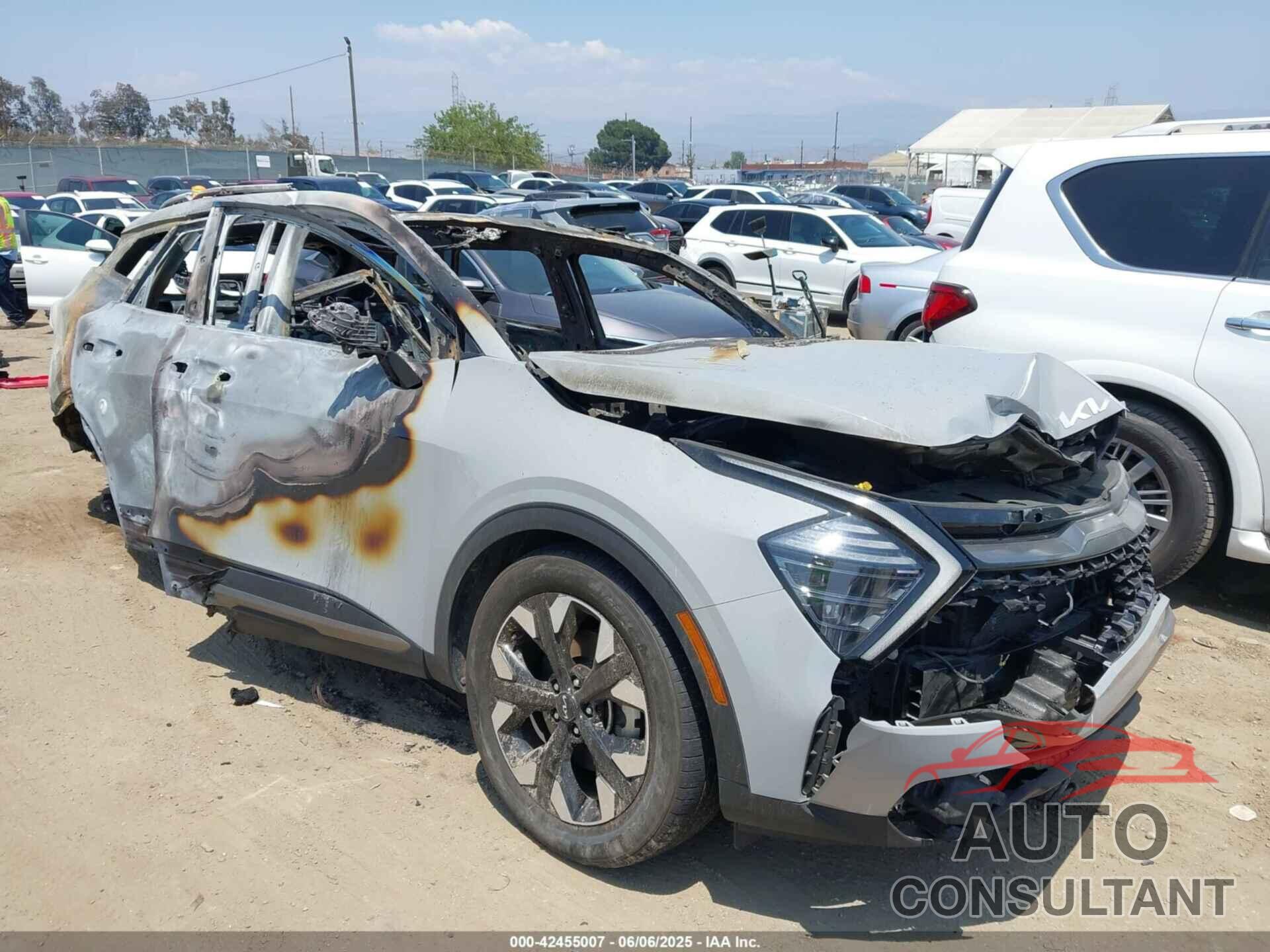 KIA SPORTAGE 2024 - 5XYK6CDF8RG148363