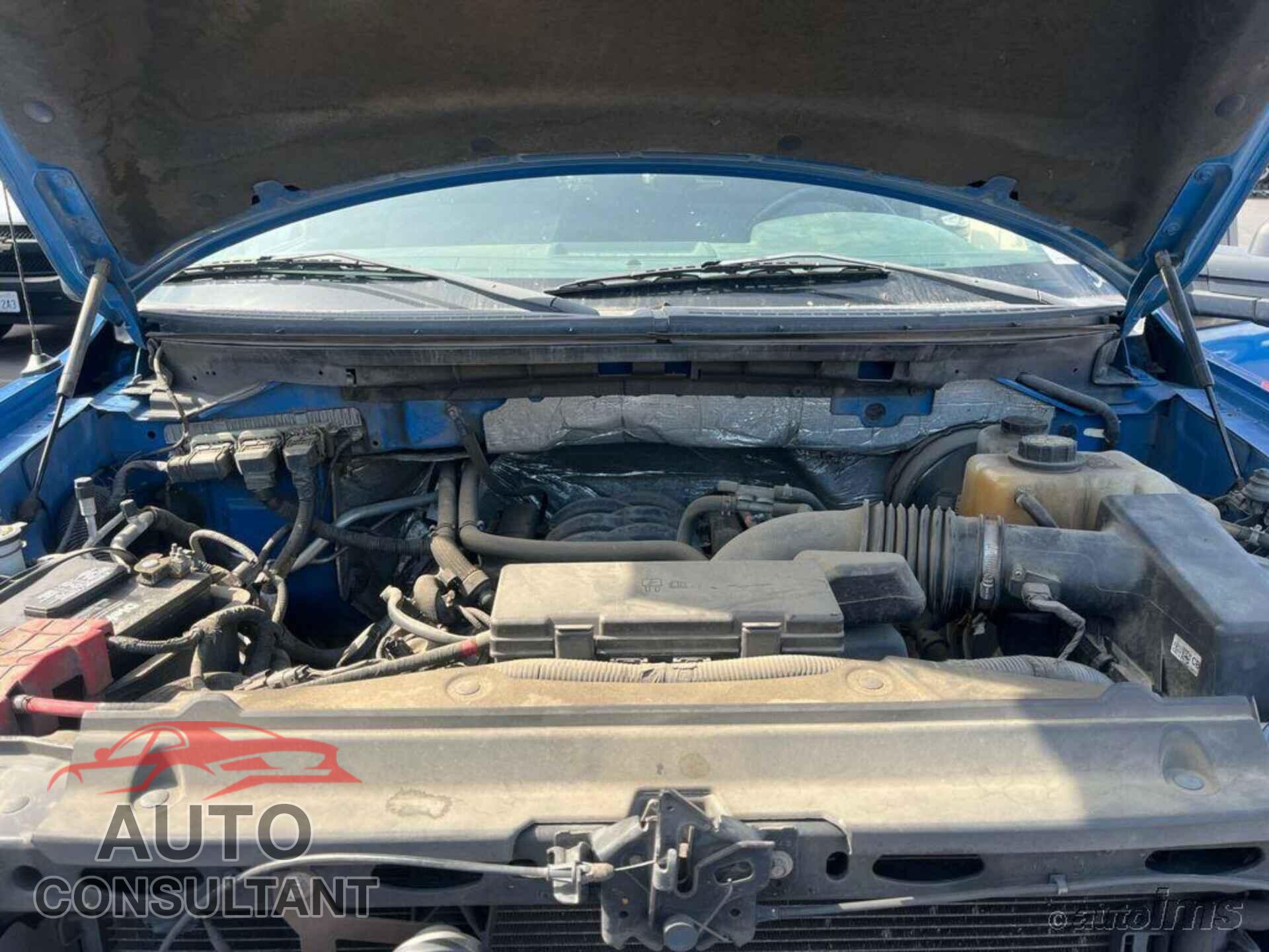 FORD F150 2013 - 1FTFW1CF3DFA69086