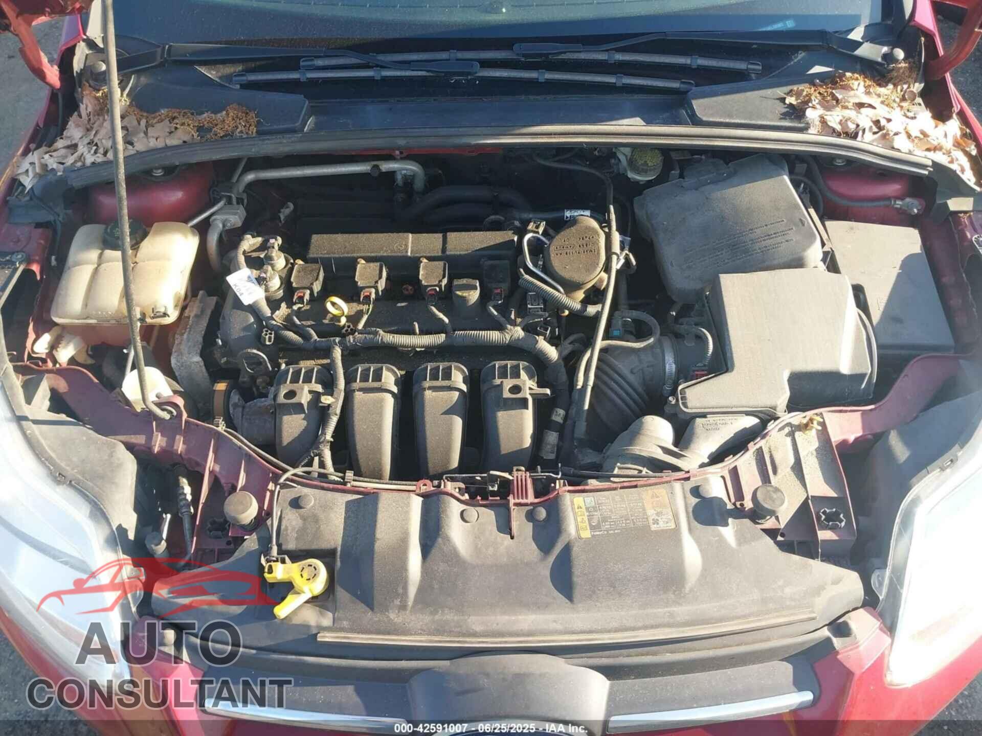 FORD FOCUS 2014 - 1FADP3F24EL395903