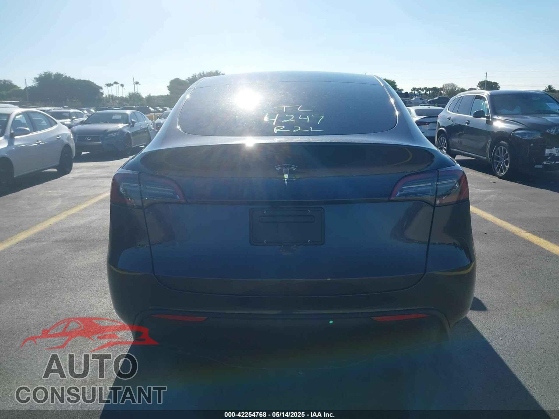 TESLA MODEL Y 2025 - 7SAYGDEDXSF226619