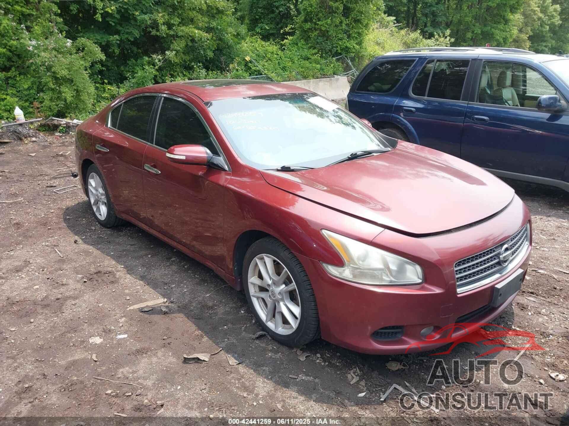 NISSAN MAXIMA 2010 - 1N4AA5AP9AC802188