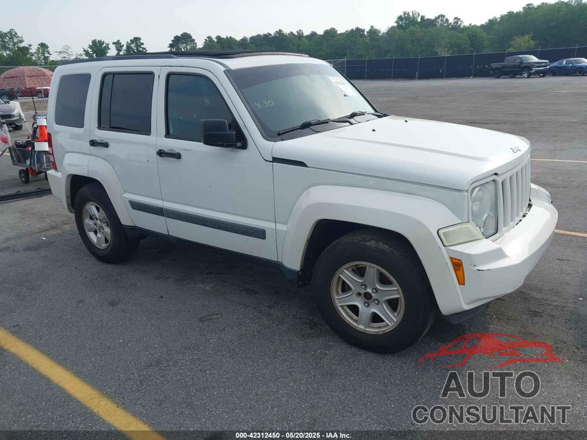 JEEP LIBERTY 2010 - 1J4PN2GK9AW159546