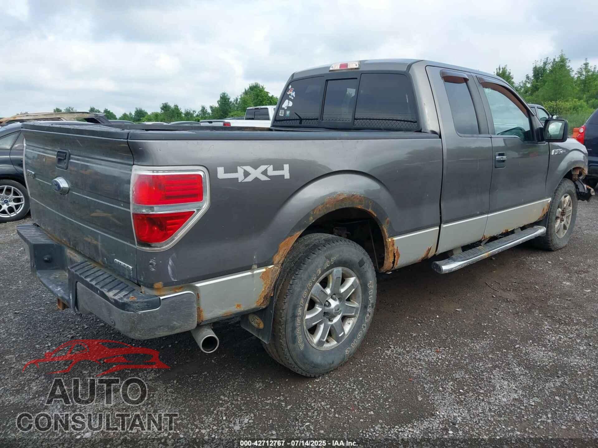 FORD F-150 2013 - 1FTFX1EF7DFD88744