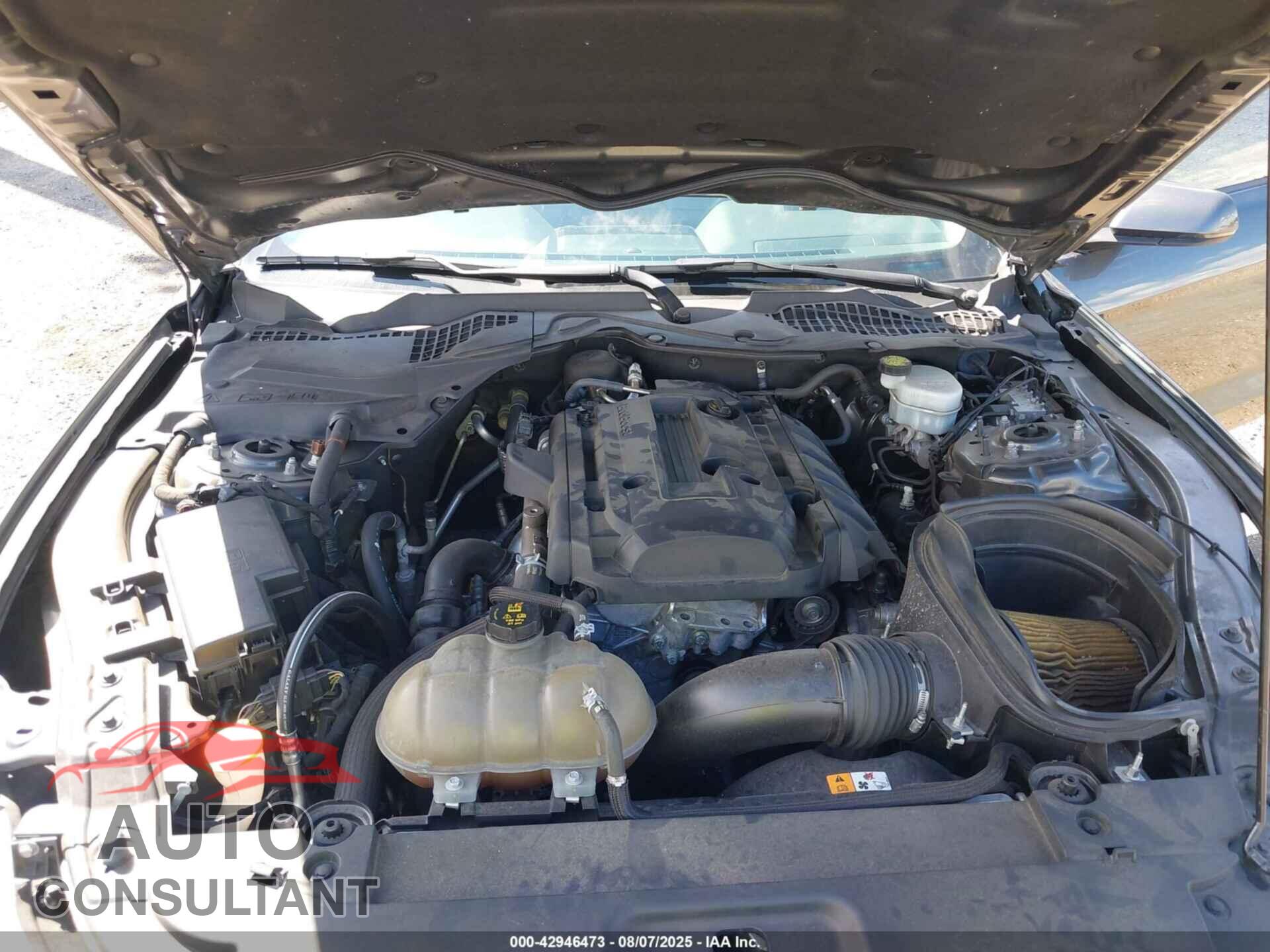 FORD MUSTANG 2017 - 1FA6P8TH4H5267099