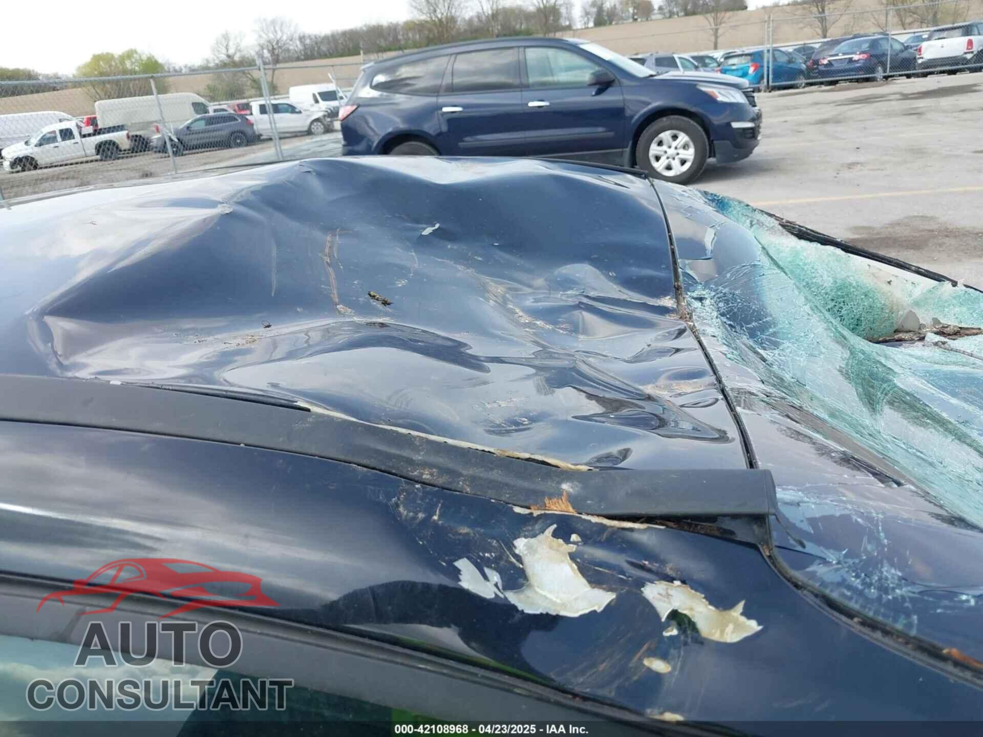 FORD FOCUS 2013 - 1FADP3F21DL321028