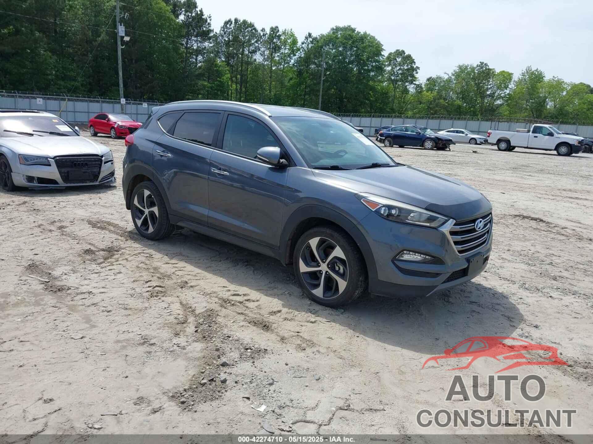 HYUNDAI TUCSON 2016 - KM8J33A24GU249526