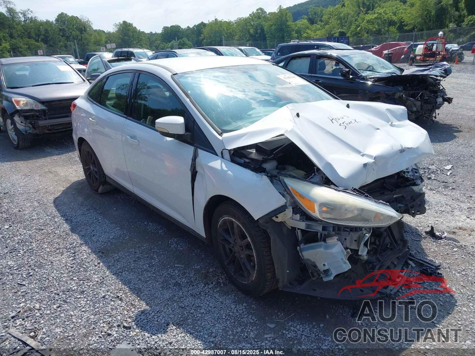 FORD FOCUS 2017 - 1FADP3FE7HL289315