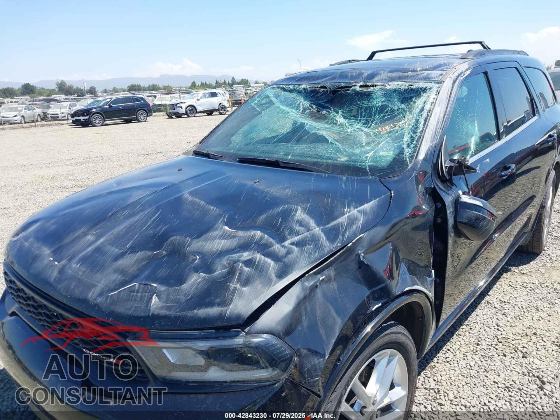 DODGE DURANGO 2023 - 1C4RDJDG9PC597490