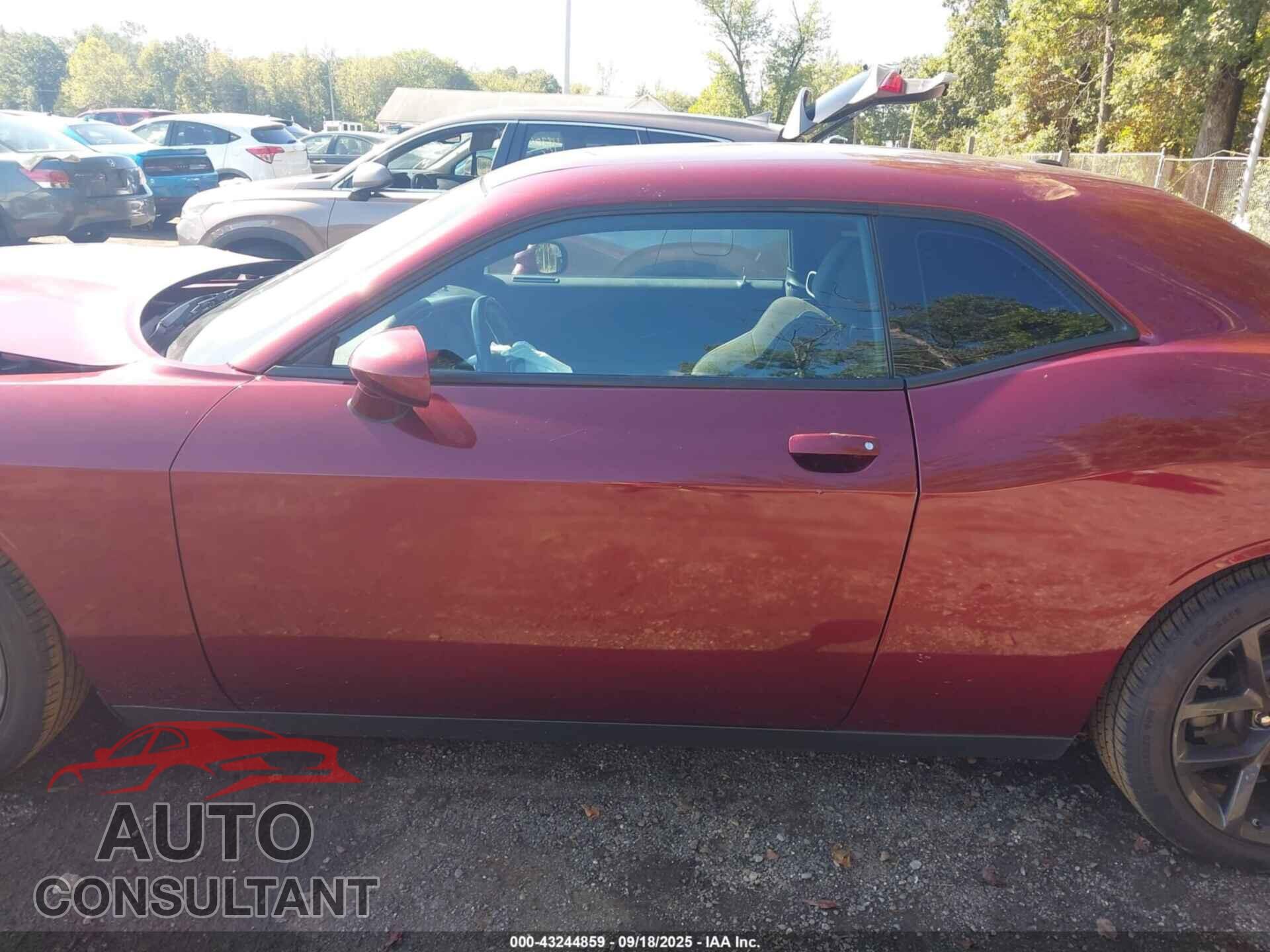DODGE CHALLENGER 2022 - 2C3CDZJG0NH263789