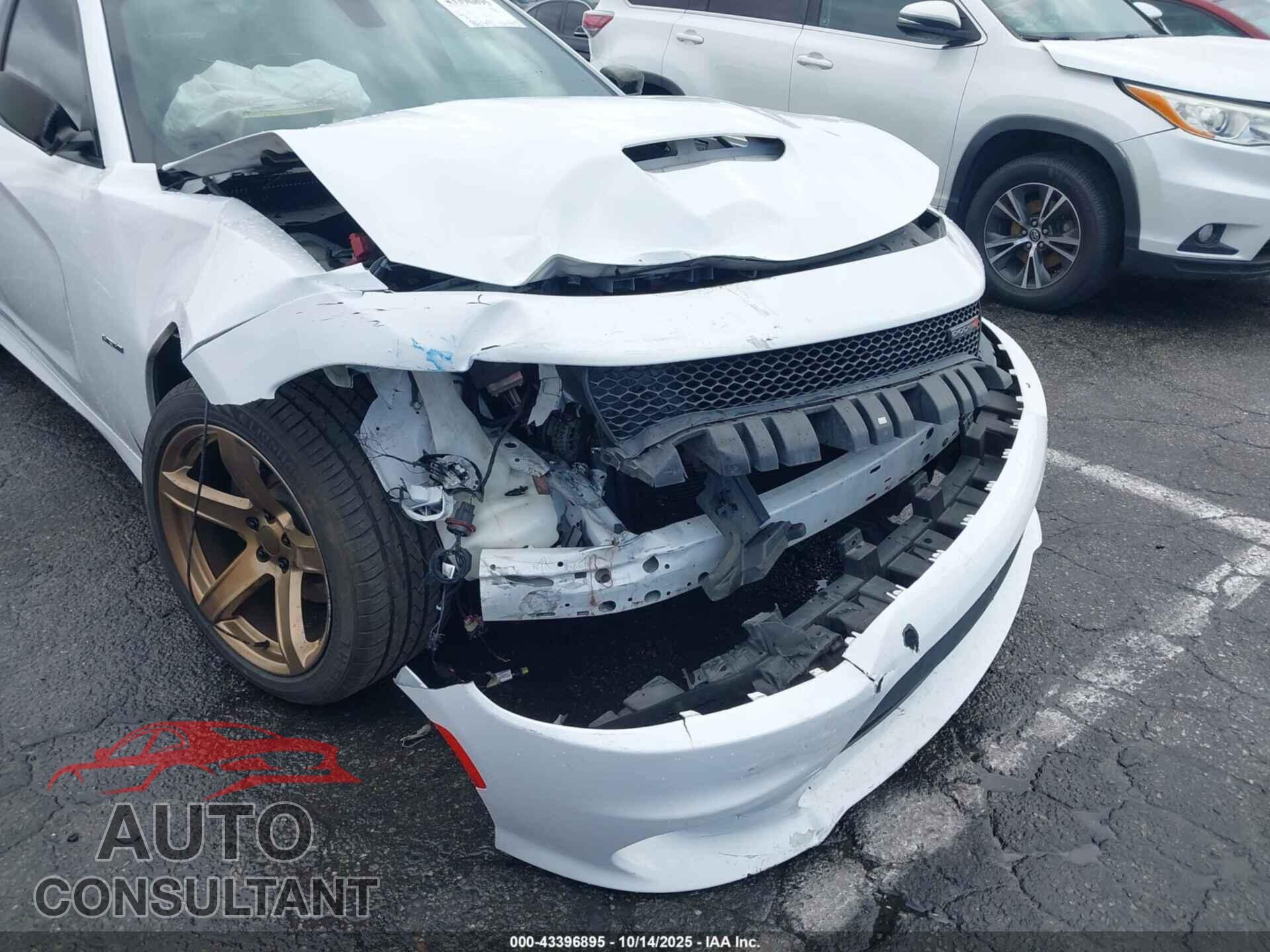 DODGE CHARGER 2019 - 2C3CDXCT7KH597876