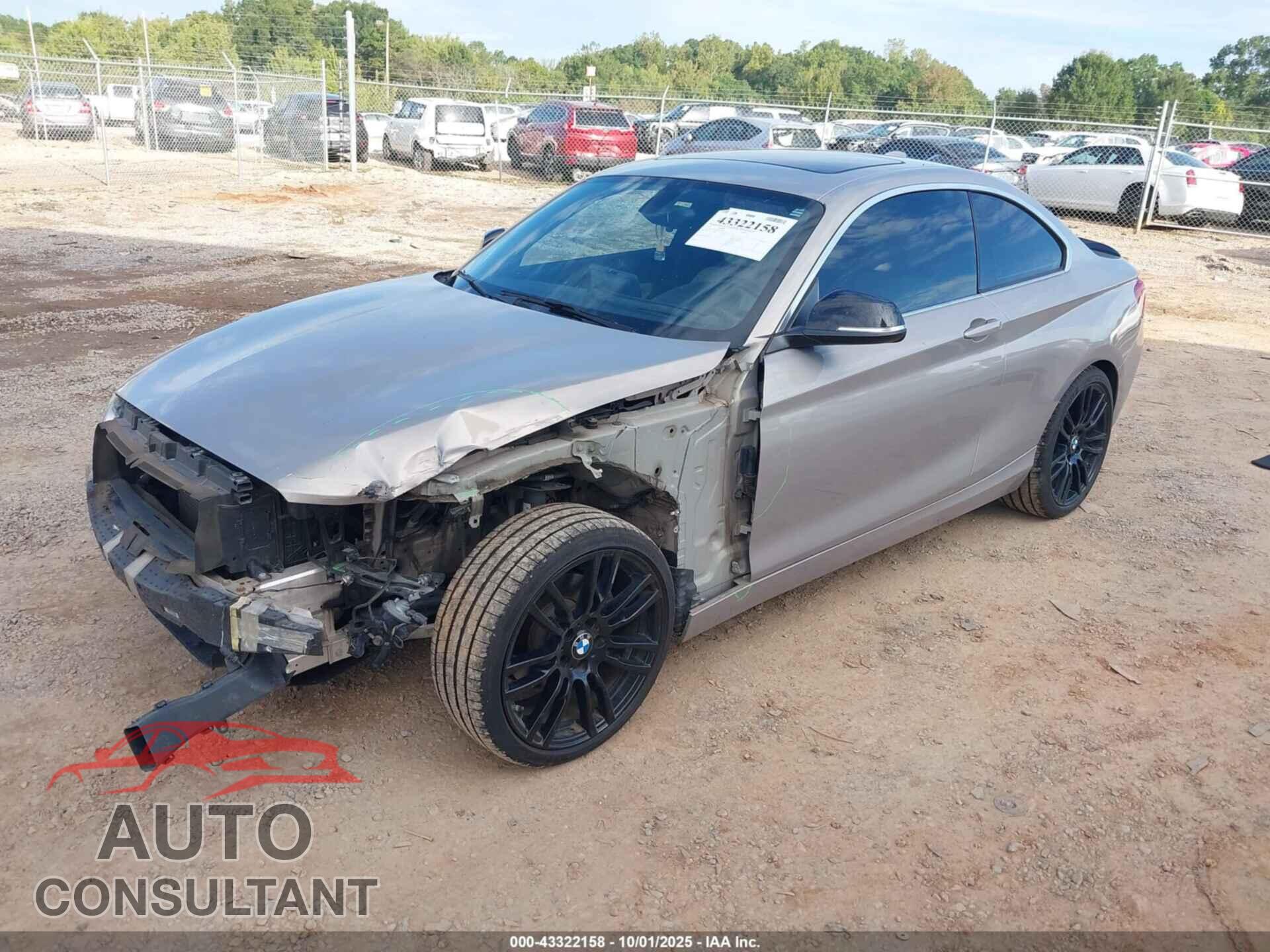 BMW 228I 2016 - WBA1F9C50GV545379