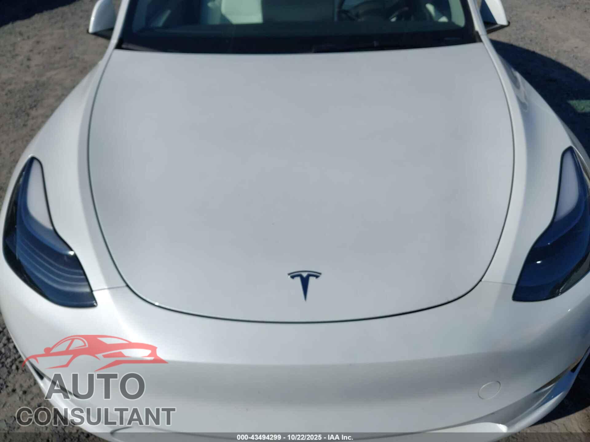 TESLA MODEL Y 2024 - 7SAYGDED6RA325431