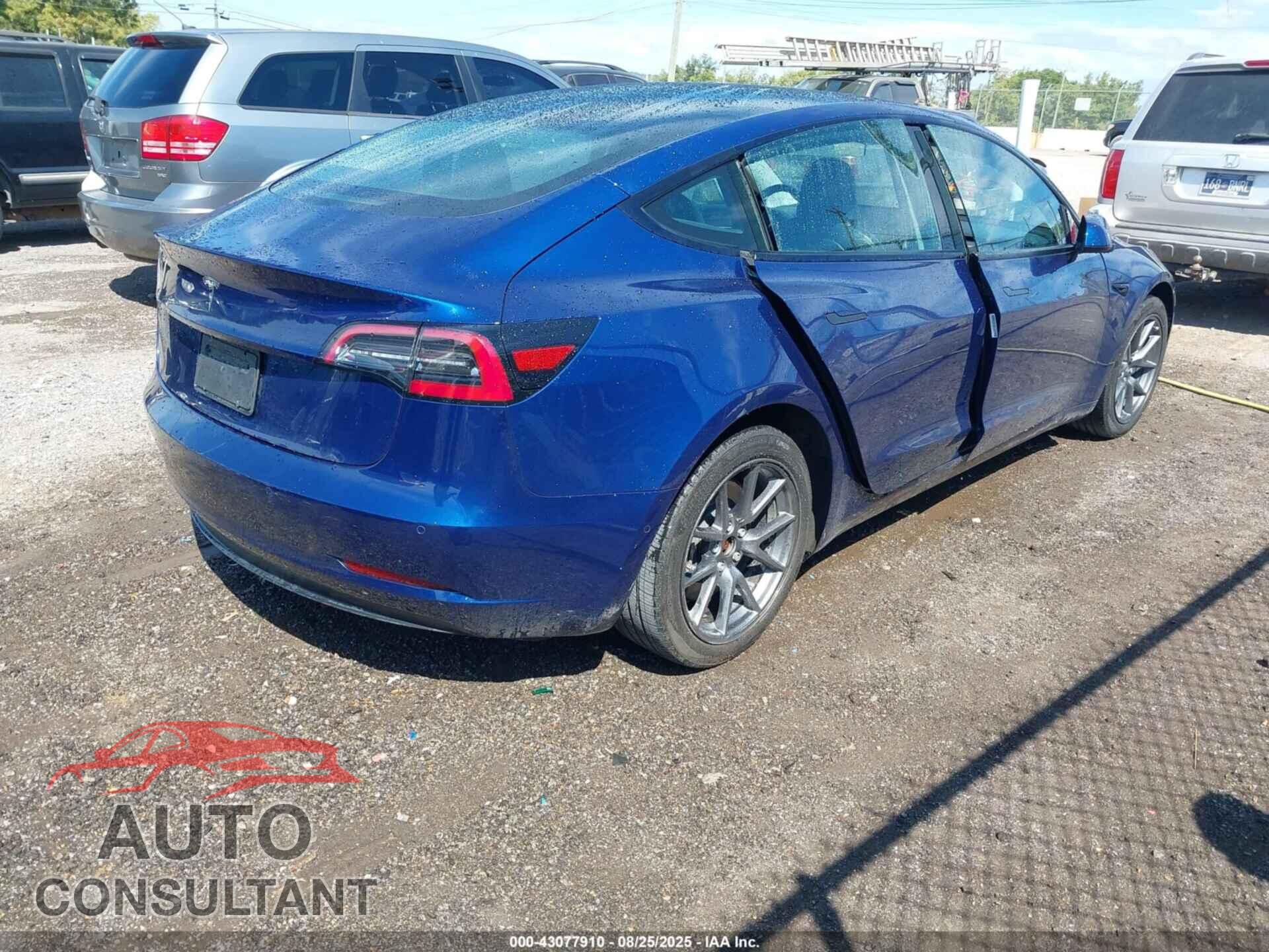 TESLA MODEL 3 2021 - 5YJ3E1EA9MF093954
