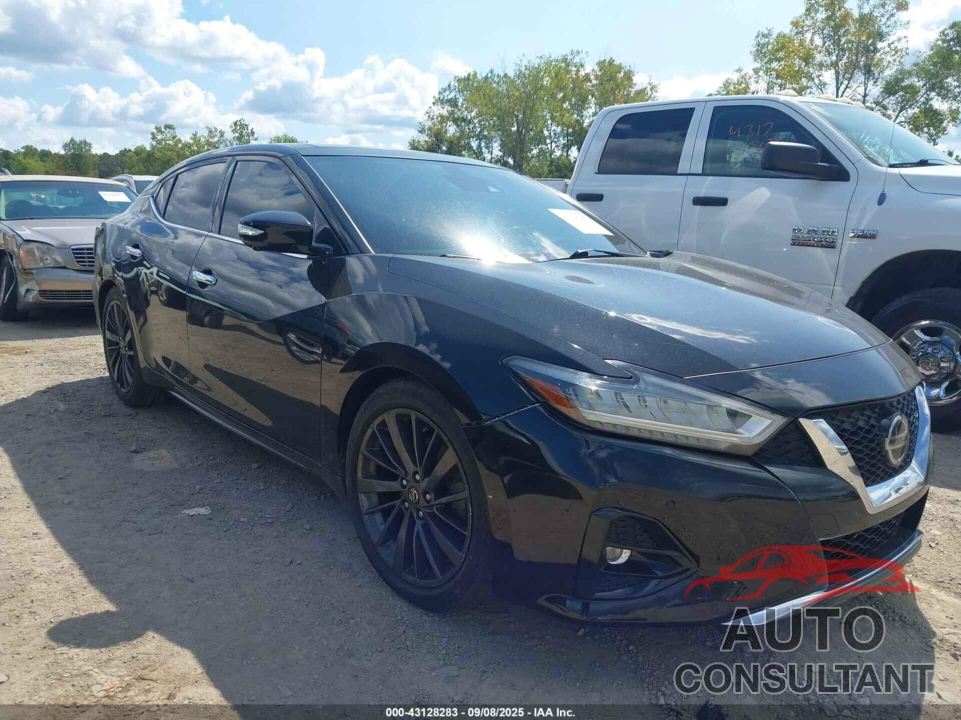 NISSAN MAXIMA 2019 - 1N4AA6AV3KC382109
