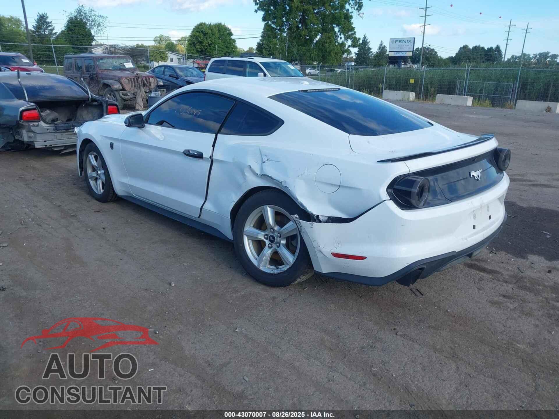 FORD MUSTANG 2019 - 1FA6P8TH4K5122801