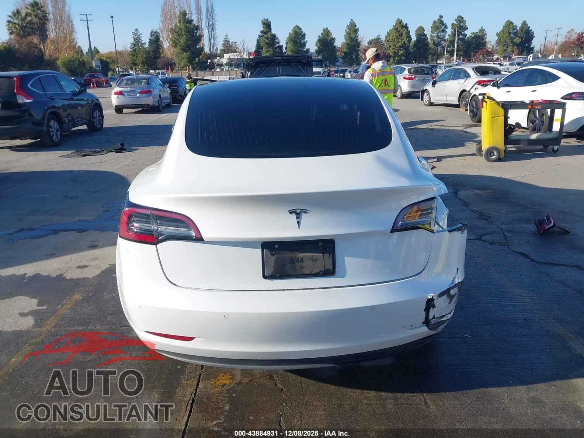 TESLA MODEL 3 2019 - 5YJ3E1EA1KF396949