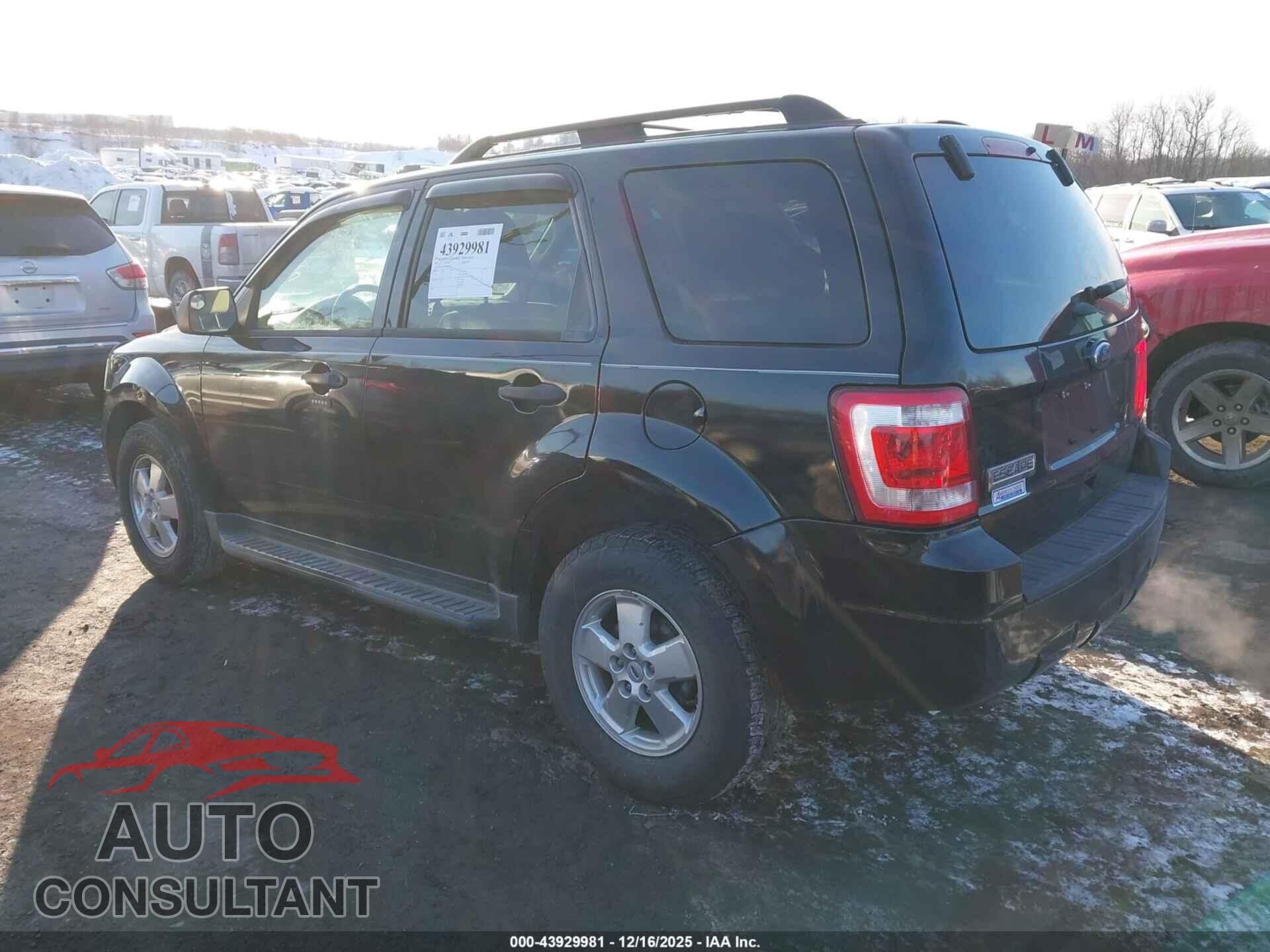FORD ESCAPE 2011 - 1FMCU9D79BKB43383